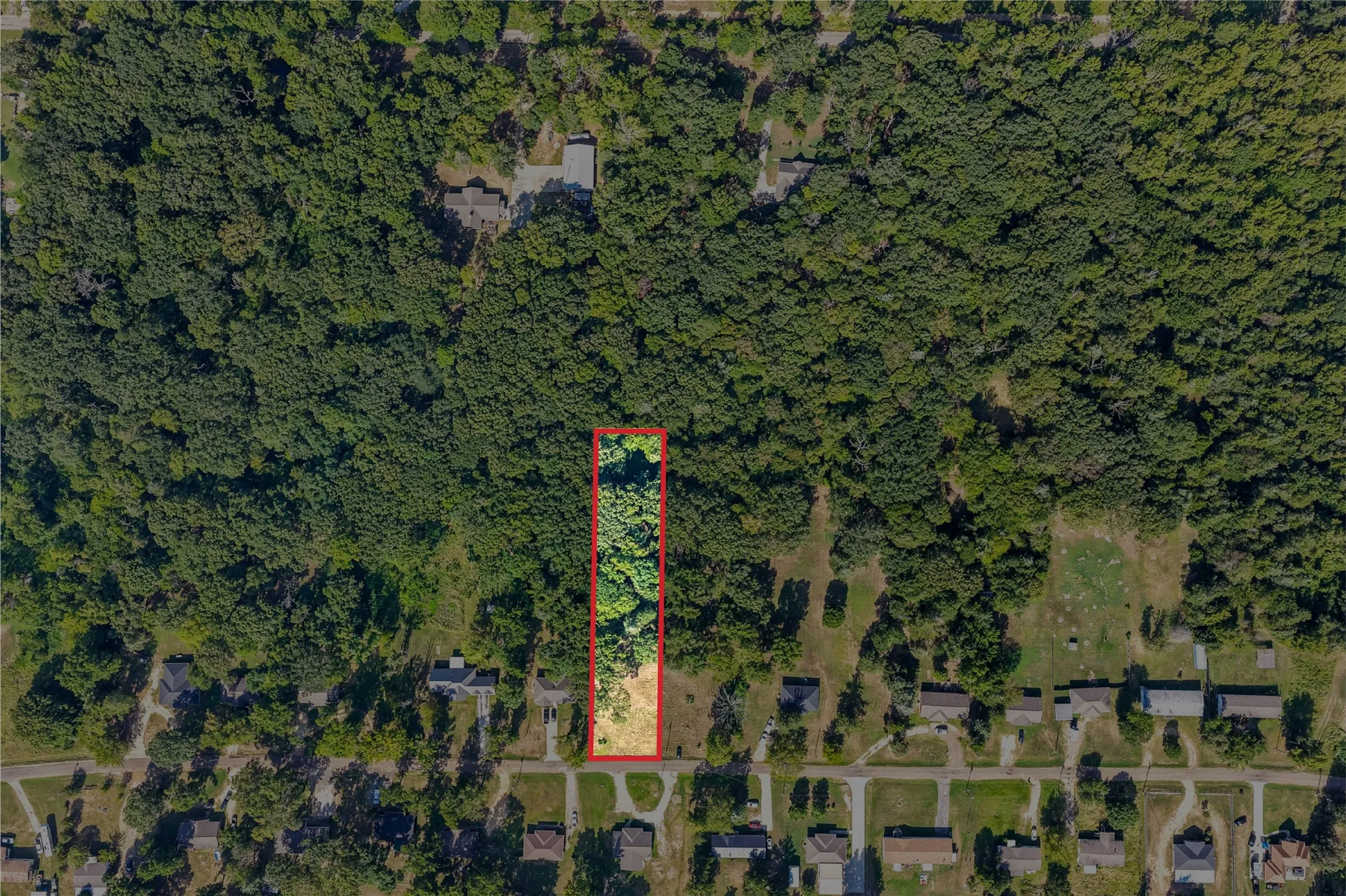 Unimproved Land For Sale in Titus County , Lot 40 County Road 4231, Mt Pleasant, Texas 75455, 0, 0, Garage spaces, 0 Sqft, built in 0, Price $39,900, mls#21366614, Real Estate Agent in Mt Pleasant, Homes For Sale in Titus county, Homes For Sale in Mt Pleasant, Realtor in Mt Pleasant Texas, Real Estate Brokerage Independent Realty Texas, Luminita Cordes Realtor
