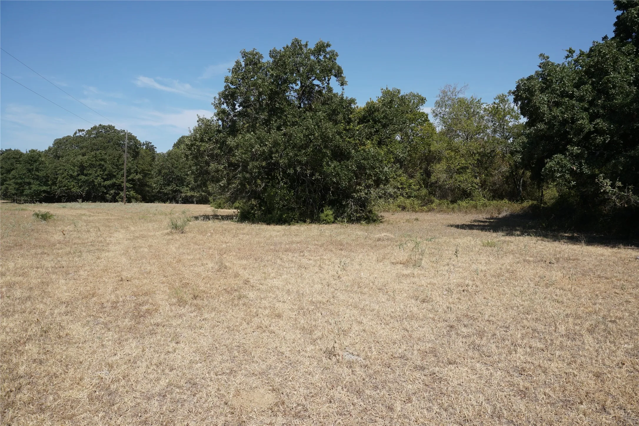 Unimproved Land For Sale in Navarro County , Tract 2 NE County Road 1030, Rice, Texas 75155, 0, 0, Garage spaces, 0 Sqft, built in 0, mls#21364395, Real Estate Agent in Rice, Homes For Sale in Navarro county, Homes For Sale in Rice, Realtor in Rice Texas, Real Estate Brokerage Independent Realty Texas, Luminita Cordes Realtor