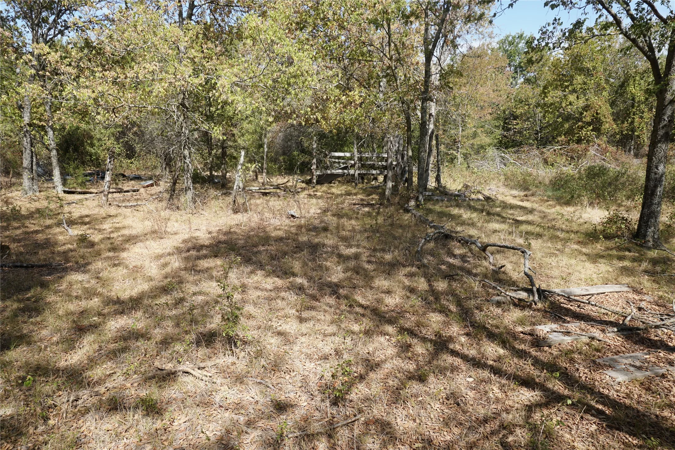 Unimproved Land For Sale in Navarro County , Tract 2 NE County Road 1030, Rice, Texas 75155, 0, 0, Garage spaces, 0 Sqft, built in 0, mls#21364395, Real Estate Agent in Rice, Homes For Sale in Navarro county, Homes For Sale in Rice, Realtor in Rice Texas, Real Estate Brokerage Independent Realty Texas, Luminita Cordes Realtor