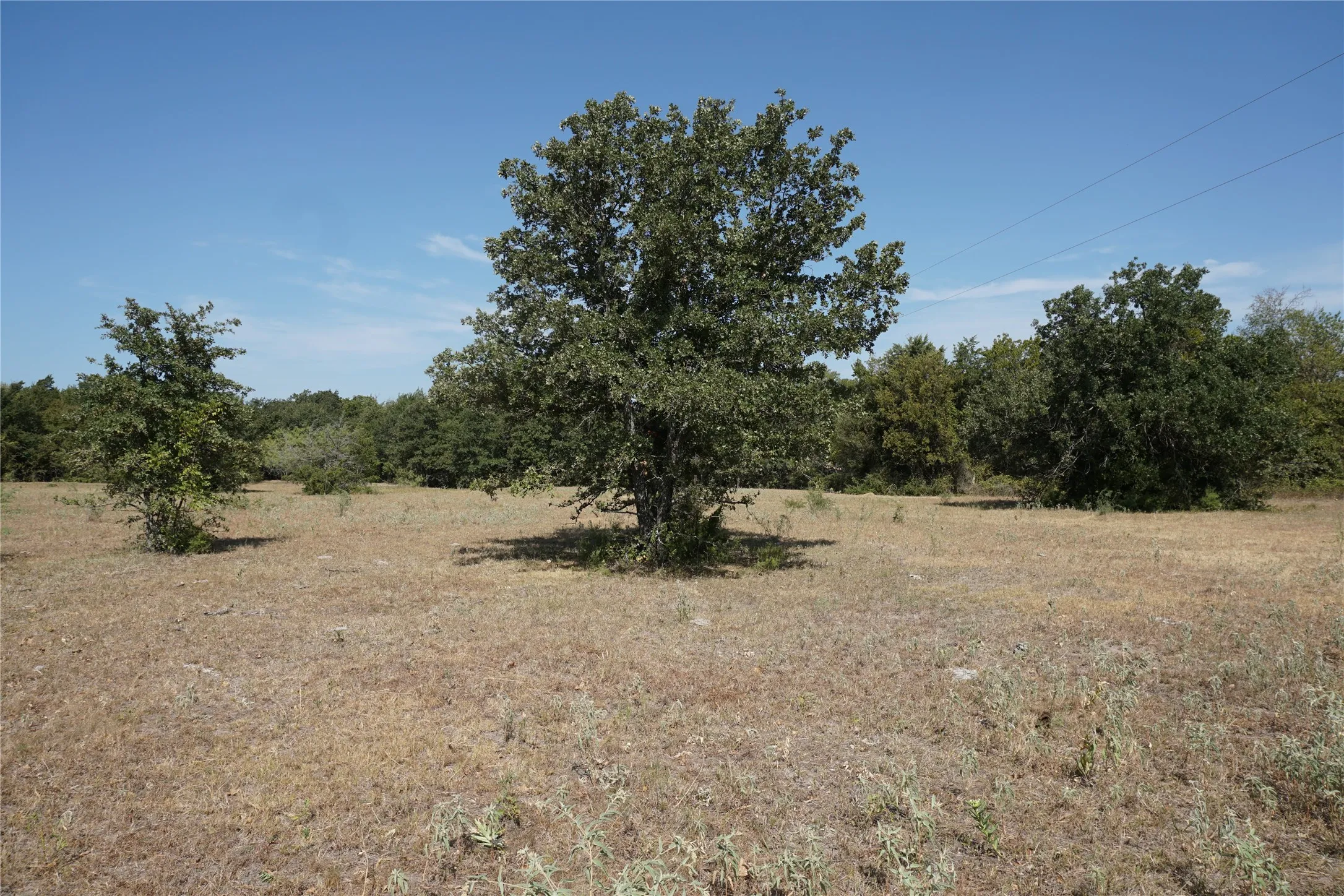 Unimproved Land For Sale in Navarro County , Tract 2 NE County Road 1030, Rice, Texas 75155, 0, 0, Garage spaces, 0 Sqft, built in 0, mls#21364395, Real Estate Agent in Rice, Homes For Sale in Navarro county, Homes For Sale in Rice, Realtor in Rice Texas, Real Estate Brokerage Independent Realty Texas, Luminita Cordes Realtor