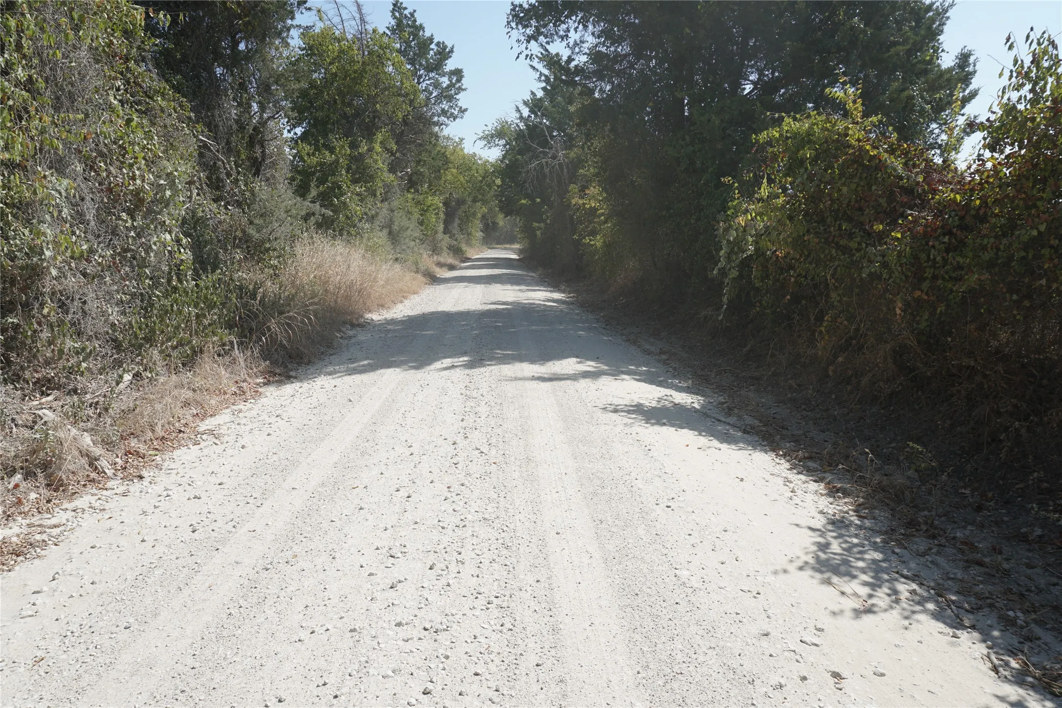 Unimproved Land For Sale in Navarro County , Tract 2 NE County Road 1030, Rice, Texas 75155, 0, 0, Garage spaces, 0 Sqft, built in 0, mls#21364395, Real Estate Agent in Rice, Homes For Sale in Navarro county, Homes For Sale in Rice, Realtor in Rice Texas, Real Estate Brokerage Independent Realty Texas, Luminita Cordes Realtor