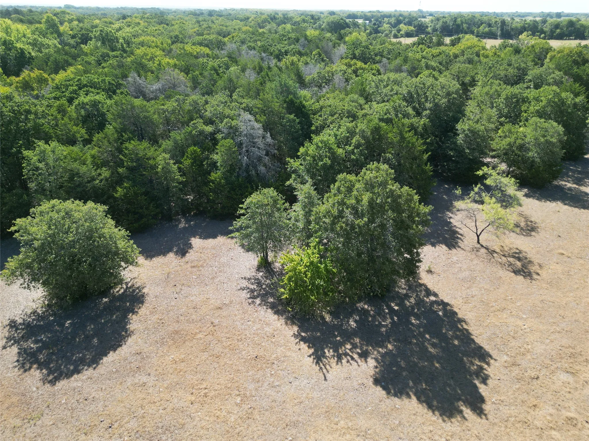 Unimproved Land For Sale in Navarro County , Tract 2 NE County Road 1030, Rice, Texas 75155, 0, 0, Garage spaces, 0 Sqft, built in 0, mls#21364395, Real Estate Agent in Rice, Homes For Sale in Navarro county, Homes For Sale in Rice, Realtor in Rice Texas, Real Estate Brokerage Independent Realty Texas, Luminita Cordes Realtor
