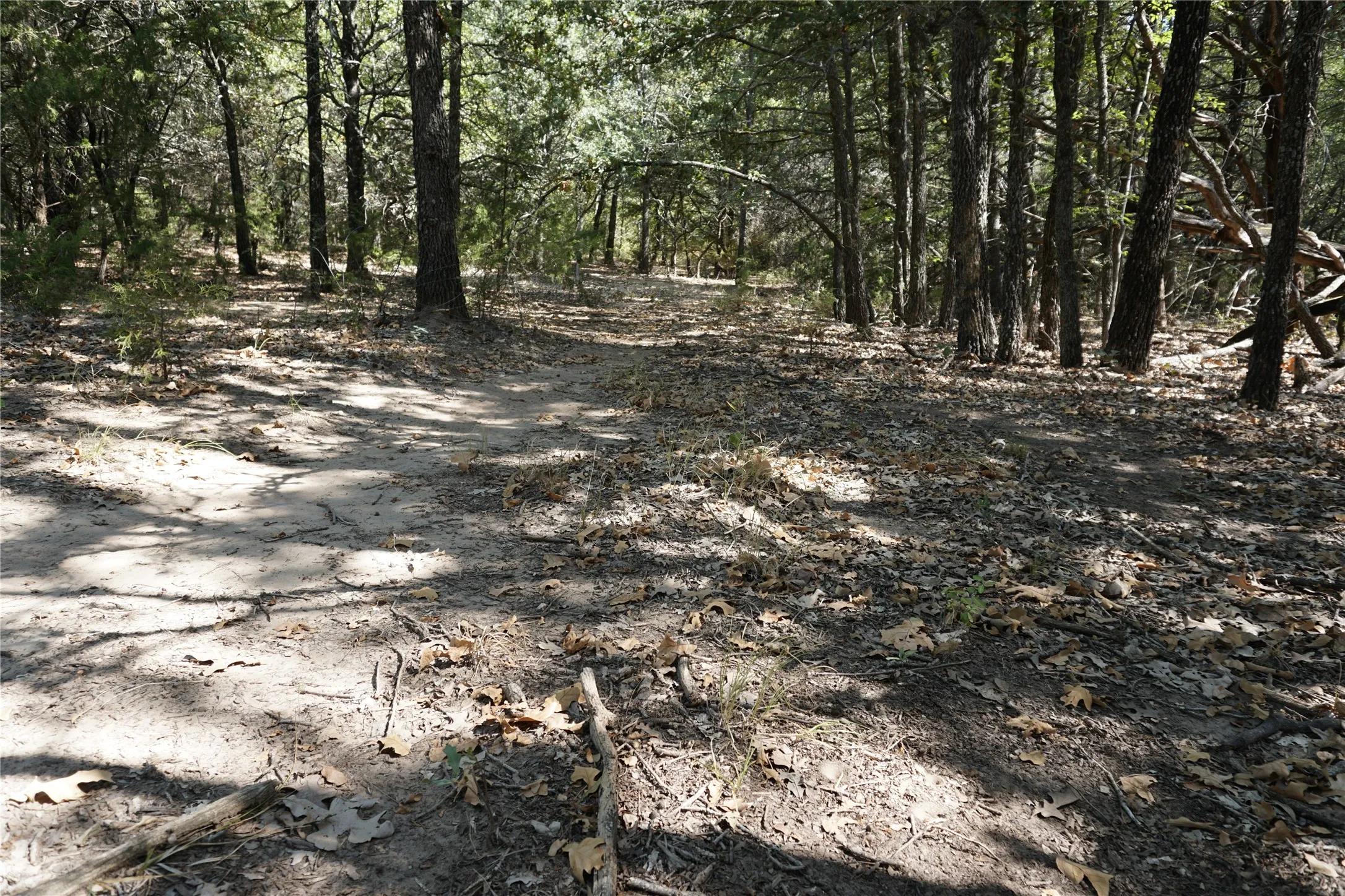 Unimproved Land For Sale in Navarro County , Tract 2 NE County Road 1030, Rice, Texas 75155, 0, 0, Garage spaces, 0 Sqft, built in 0, mls#21364395, Real Estate Agent in Rice, Homes For Sale in Navarro county, Homes For Sale in Rice, Realtor in Rice Texas, Real Estate Brokerage Independent Realty Texas, Luminita Cordes Realtor