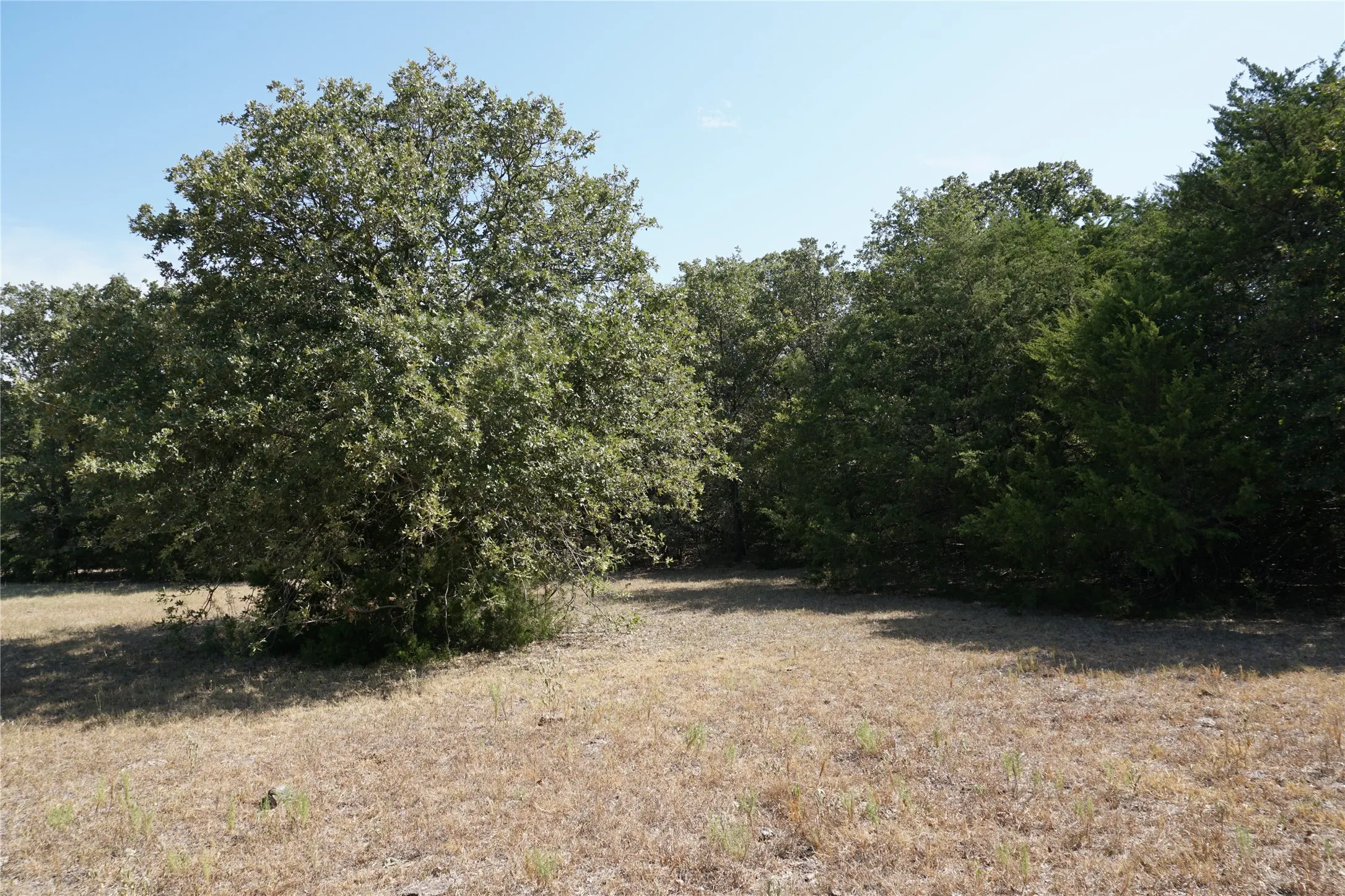 Unimproved Land For Sale in Navarro County , Tract 2 NE County Road 1030, Rice, Texas 75155, 0, 0, Garage spaces, 0 Sqft, built in 0, mls#21364395, Real Estate Agent in Rice, Homes For Sale in Navarro county, Homes For Sale in Rice, Realtor in Rice Texas, Real Estate Brokerage Independent Realty Texas, Luminita Cordes Realtor