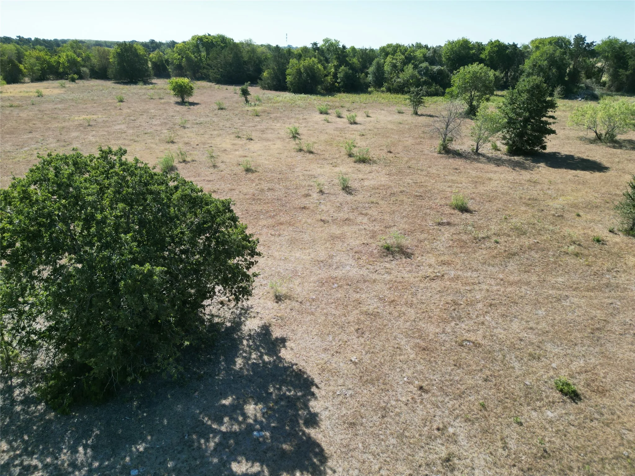 Unimproved Land For Sale in Navarro County , Tract 2 NE County Road 1030, Rice, Texas 75155, 0, 0, Garage spaces, 0 Sqft, built in 0, mls#21364395, Real Estate Agent in Rice, Homes For Sale in Navarro county, Homes For Sale in Rice, Realtor in Rice Texas, Real Estate Brokerage Independent Realty Texas, Luminita Cordes Realtor