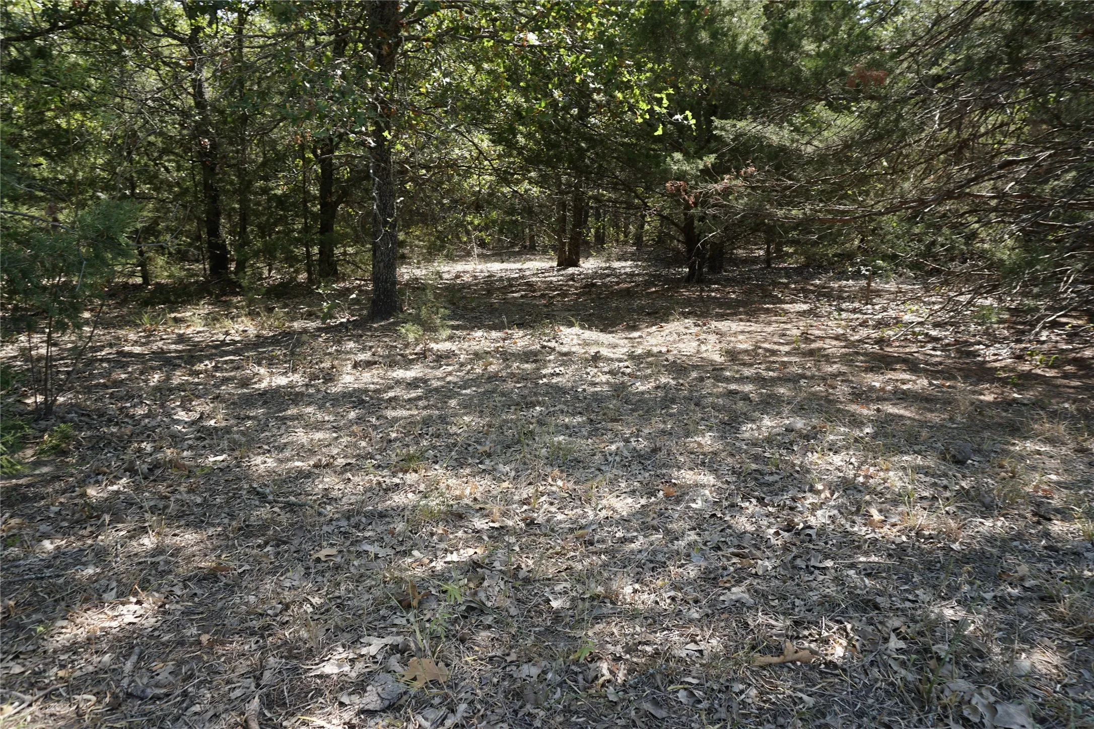 Unimproved Land For Sale in Navarro County , Tract 2 NE County Road 1030, Rice, Texas 75155, 0, 0, Garage spaces, 0 Sqft, built in 0, mls#21364395, Real Estate Agent in Rice, Homes For Sale in Navarro county, Homes For Sale in Rice, Realtor in Rice Texas, Real Estate Brokerage Independent Realty Texas, Luminita Cordes Realtor