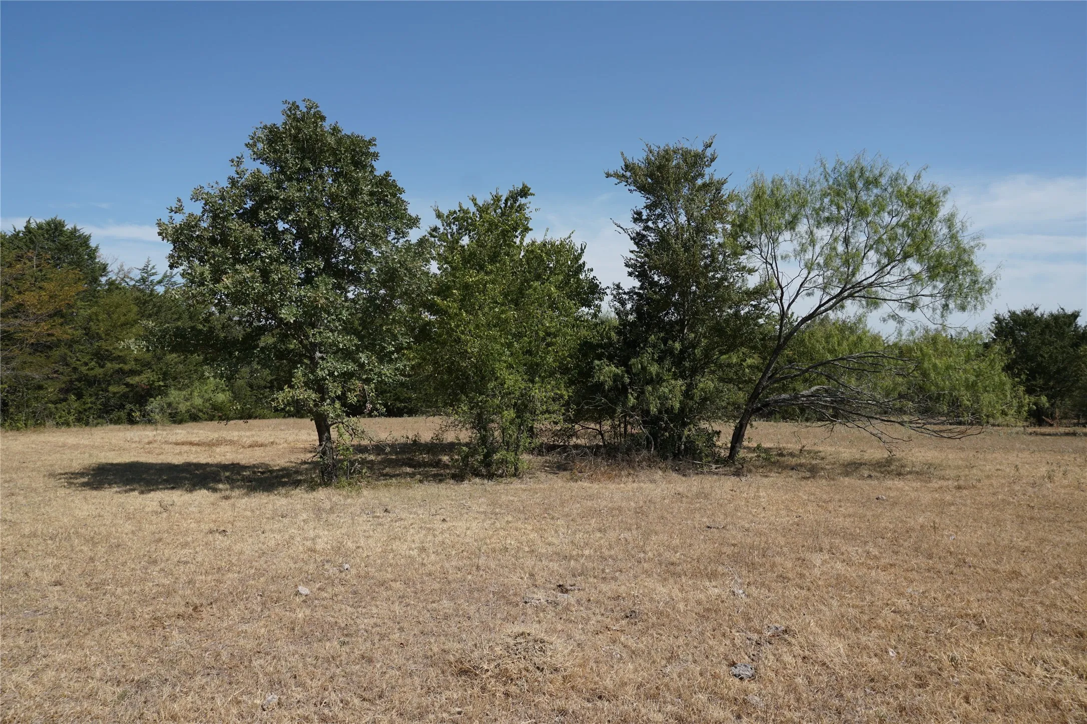 Unimproved Land For Sale in Navarro County , Tract 2 NE County Road 1030, Rice, Texas 75155, 0, 0, Garage spaces, 0 Sqft, built in 0, mls#21364395, Real Estate Agent in Rice, Homes For Sale in Navarro county, Homes For Sale in Rice, Realtor in Rice Texas, Real Estate Brokerage Independent Realty Texas, Luminita Cordes Realtor
