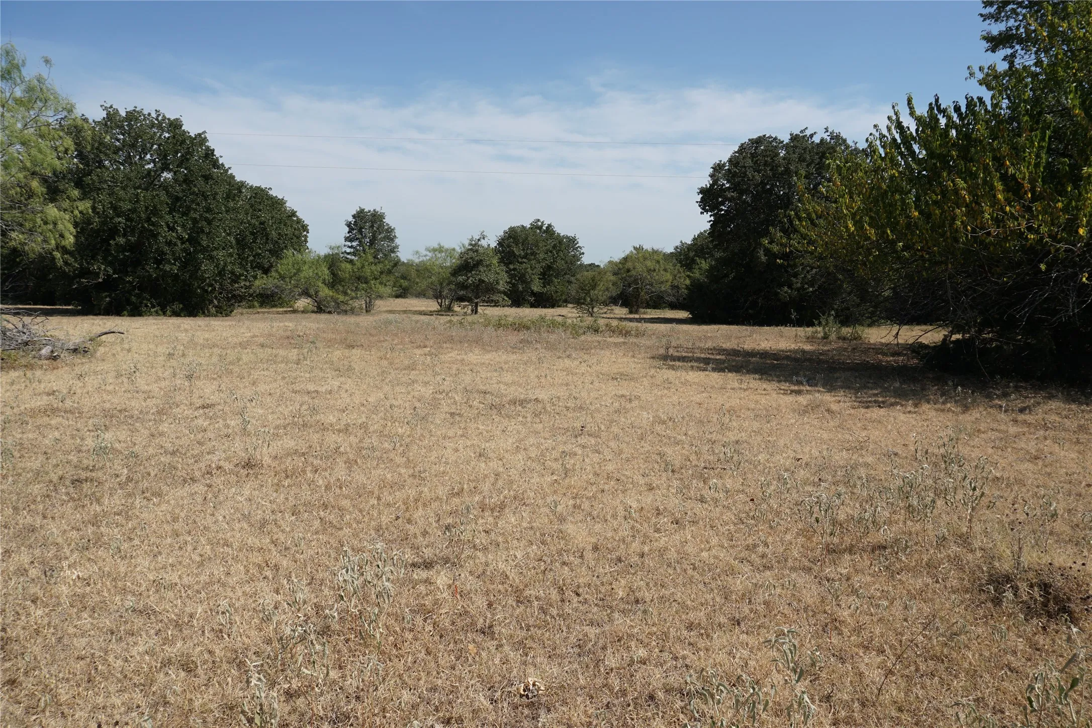 Unimproved Land For Sale in Navarro County , Tract 2 NE County Road 1030, Rice, Texas 75155, 0, 0, Garage spaces, 0 Sqft, built in 0, mls#21364395, Real Estate Agent in Rice, Homes For Sale in Navarro county, Homes For Sale in Rice, Realtor in Rice Texas, Real Estate Brokerage Independent Realty Texas, Luminita Cordes Realtor