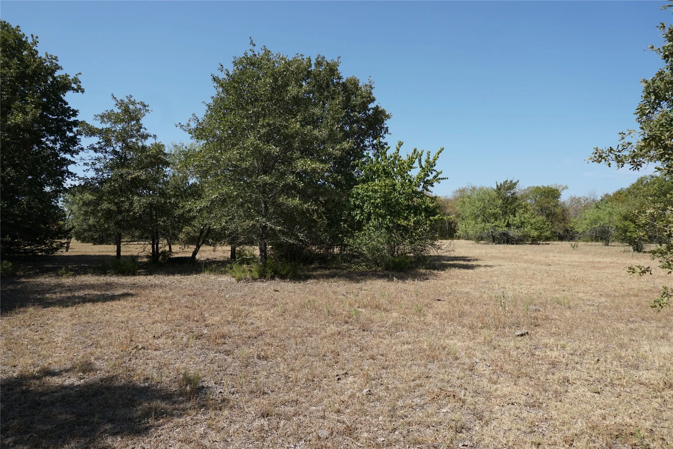 Unimproved Land For Sale in Navarro County , Tract 2 NE County Road 1030, Rice, Texas 75155, 0, 0, Garage spaces, 0 Sqft, built in 0, mls#21364395, Real Estate Agent in Rice, Homes For Sale in Navarro county, Homes For Sale in Rice, Realtor in Rice Texas, Real Estate Brokerage Independent Realty Texas, Luminita Cordes Realtor