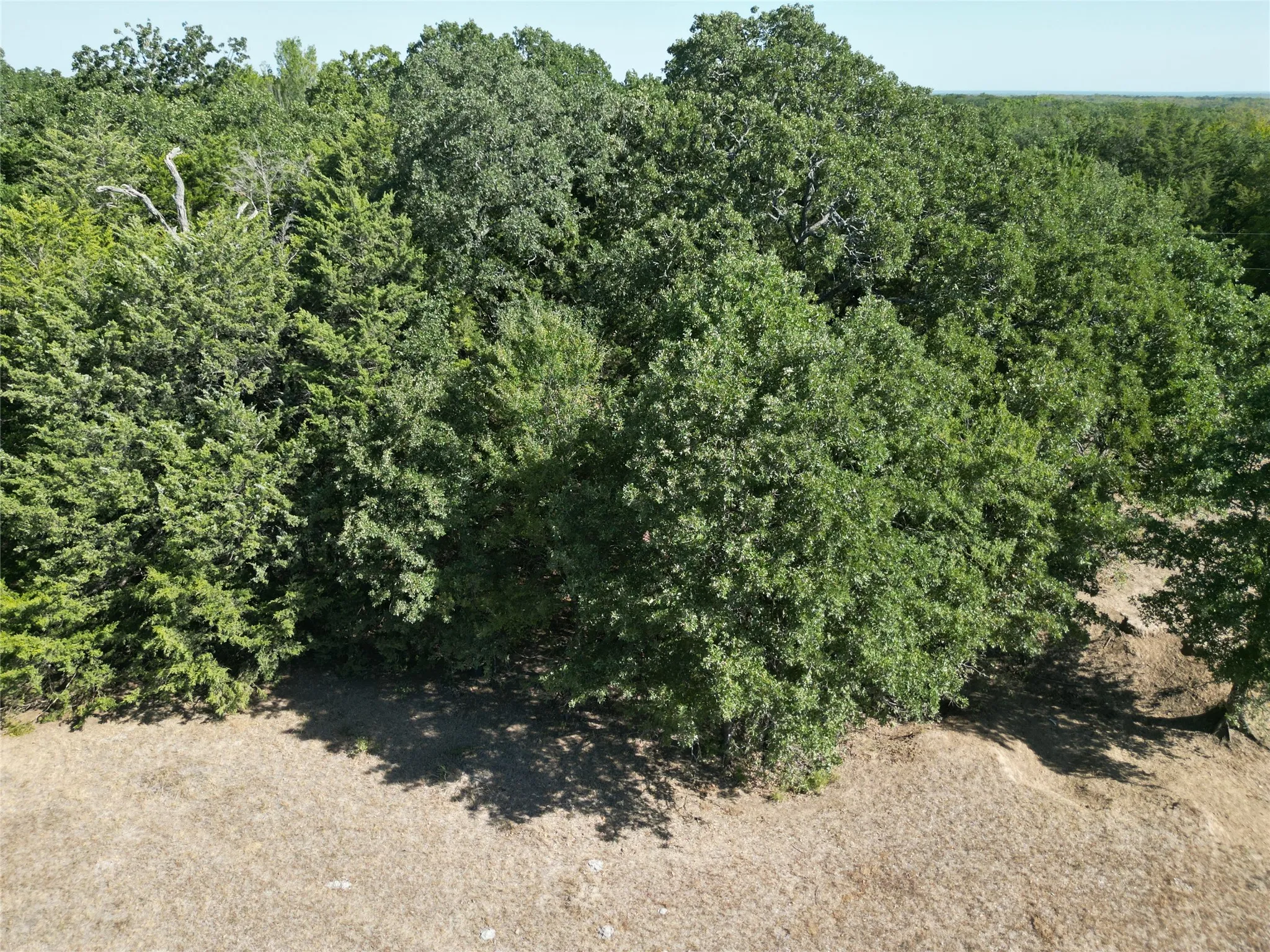 Unimproved Land For Sale in Navarro County , Tract 2 NE County Road 1030, Rice, Texas 75155, 0, 0, Garage spaces, 0 Sqft, built in 0, mls#21364395, Real Estate Agent in Rice, Homes For Sale in Navarro county, Homes For Sale in Rice, Realtor in Rice Texas, Real Estate Brokerage Independent Realty Texas, Luminita Cordes Realtor