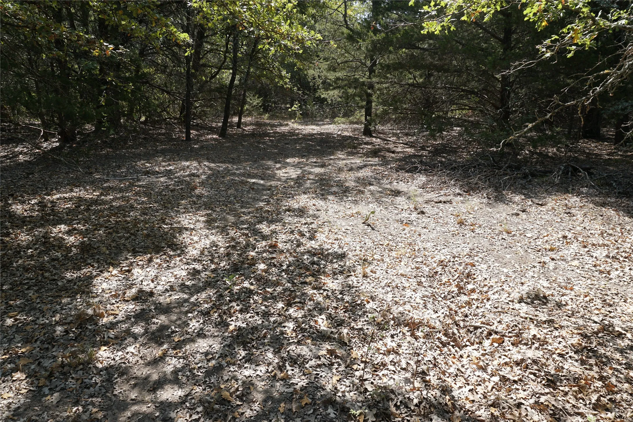 Unimproved Land For Sale in Navarro County , Tract 2 NE County Road 1030, Rice, Texas 75155, 0, 0, Garage spaces, 0 Sqft, built in 0, mls#21364395, Real Estate Agent in Rice, Homes For Sale in Navarro county, Homes For Sale in Rice, Realtor in Rice Texas, Real Estate Brokerage Independent Realty Texas, Luminita Cordes Realtor
