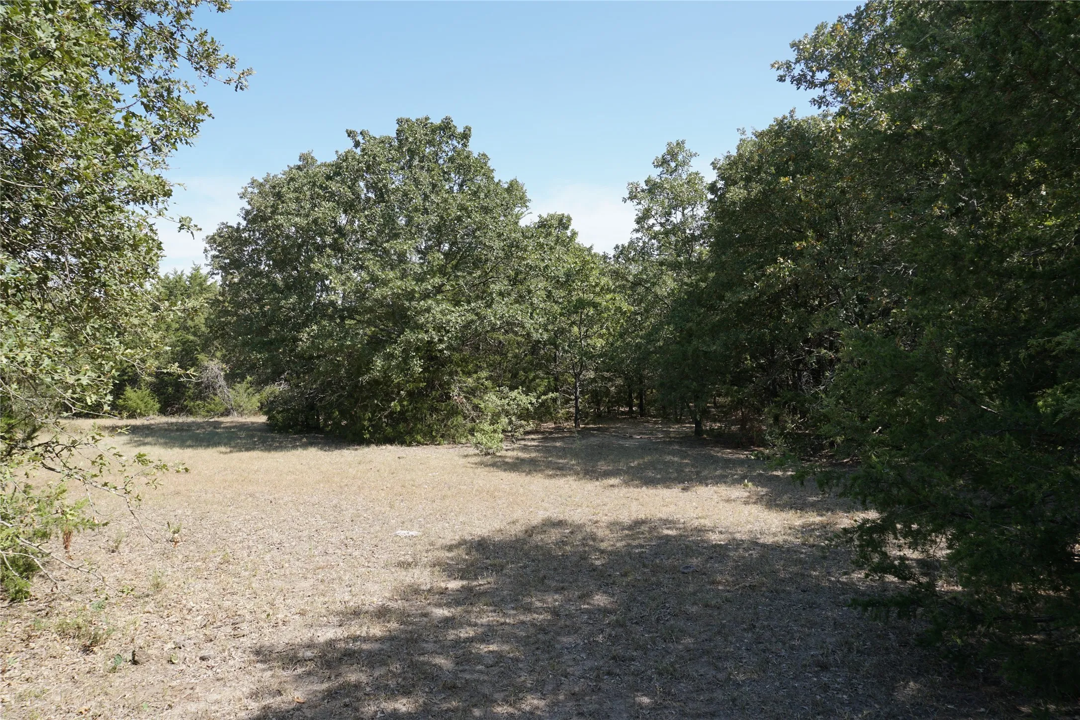 Unimproved Land For Sale in Navarro County , Tract 2 NE County Road 1030, Rice, Texas 75155, 0, 0, Garage spaces, 0 Sqft, built in 0, mls#21364395, Real Estate Agent in Rice, Homes For Sale in Navarro county, Homes For Sale in Rice, Realtor in Rice Texas, Real Estate Brokerage Independent Realty Texas, Luminita Cordes Realtor
