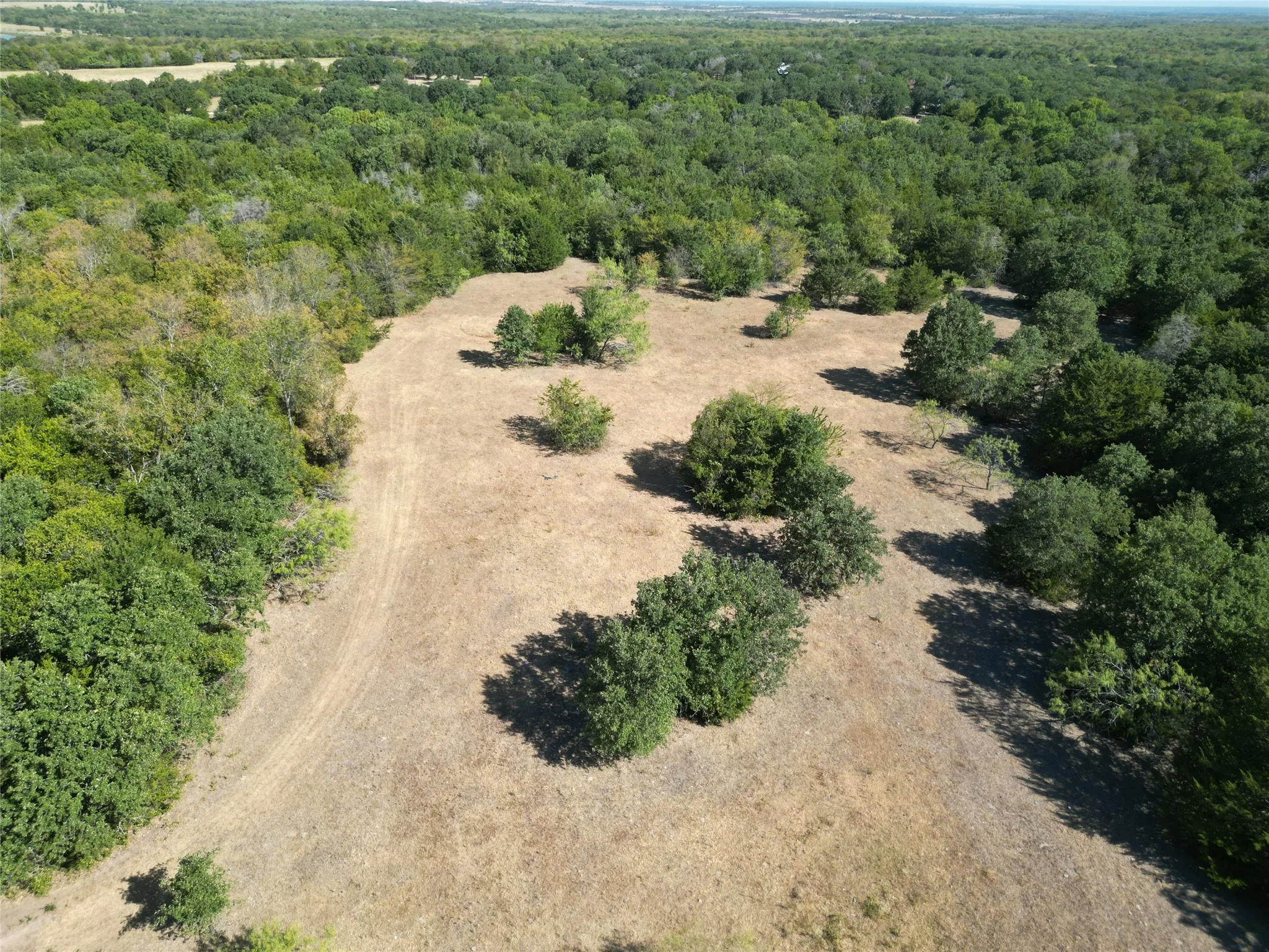 Unimproved Land For Sale in Navarro County , Tract 2 NE County Road 1030, Rice, Texas 75155, 0, 0, Garage spaces, 0 Sqft, built in 0, mls#21364395, Real Estate Agent in Rice, Homes For Sale in Navarro county, Homes For Sale in Rice, Realtor in Rice Texas, Real Estate Brokerage Independent Realty Texas, Luminita Cordes Realtor