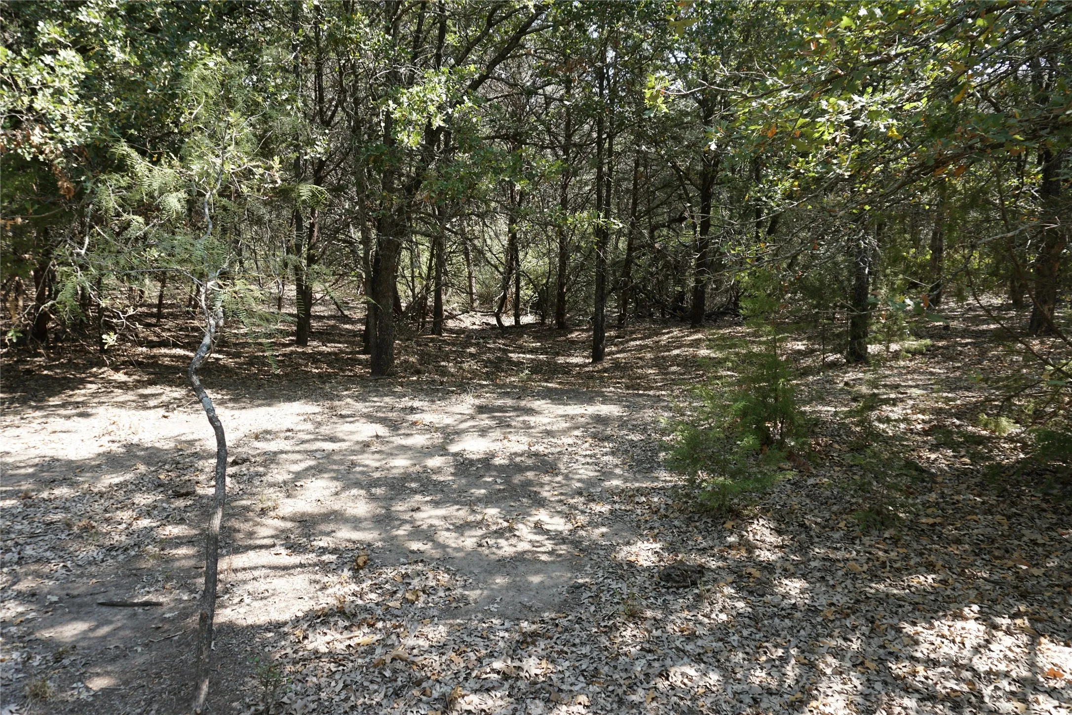 Unimproved Land For Sale in Navarro County , Tract 2 NE County Road 1030, Rice, Texas 75155, 0, 0, Garage spaces, 0 Sqft, built in 0, mls#21364395, Real Estate Agent in Rice, Homes For Sale in Navarro county, Homes For Sale in Rice, Realtor in Rice Texas, Real Estate Brokerage Independent Realty Texas, Luminita Cordes Realtor