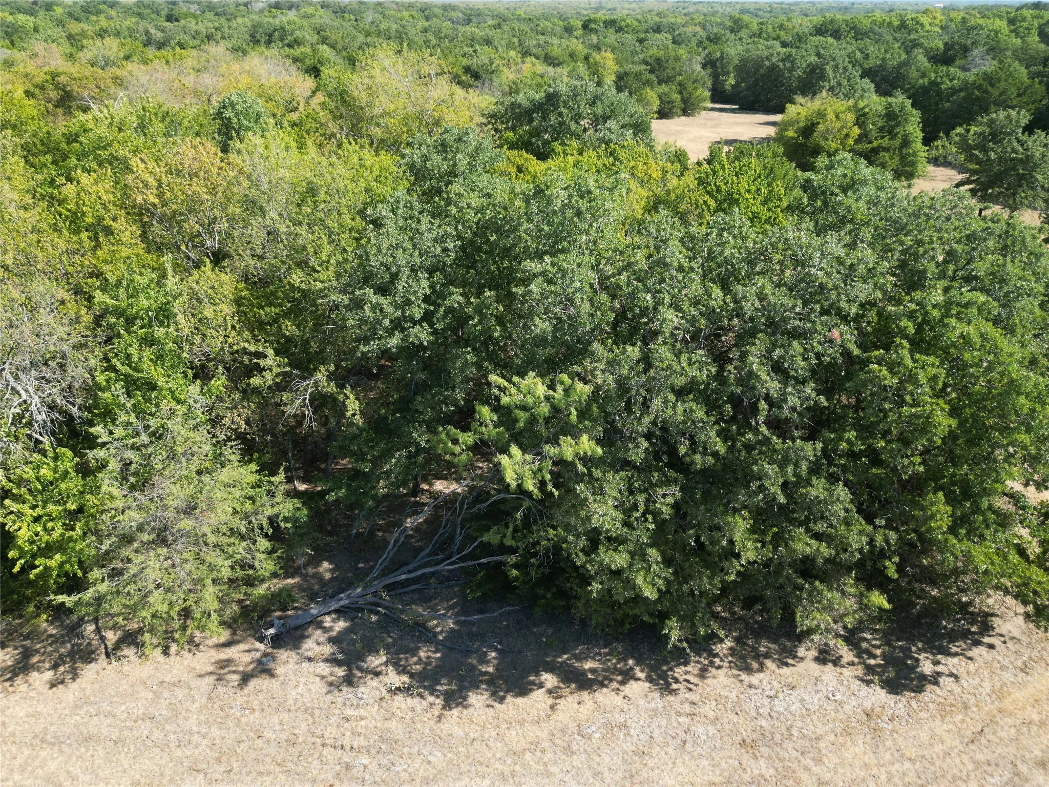 Unimproved Land For Sale in Navarro County , Tract 2 NE County Road 1030, Rice, Texas 75155, 0, 0, Garage spaces, 0 Sqft, built in 0, mls#21364395, Real Estate Agent in Rice, Homes For Sale in Navarro county, Homes For Sale in Rice, Realtor in Rice Texas, Real Estate Brokerage Independent Realty Texas, Luminita Cordes Realtor