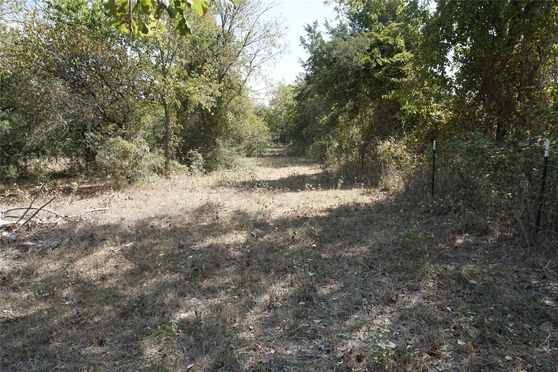 Unimproved Land For Sale in Navarro County , Tract 2 NE County Road 1030, Rice, Texas 75155, 0, 0, Garage spaces, 0 Sqft, built in 0, mls#21364395, Real Estate Agent in Rice, Homes For Sale in Navarro county, Homes For Sale in Rice, Realtor in Rice Texas, Real Estate Brokerage Independent Realty Texas, Luminita Cordes Realtor