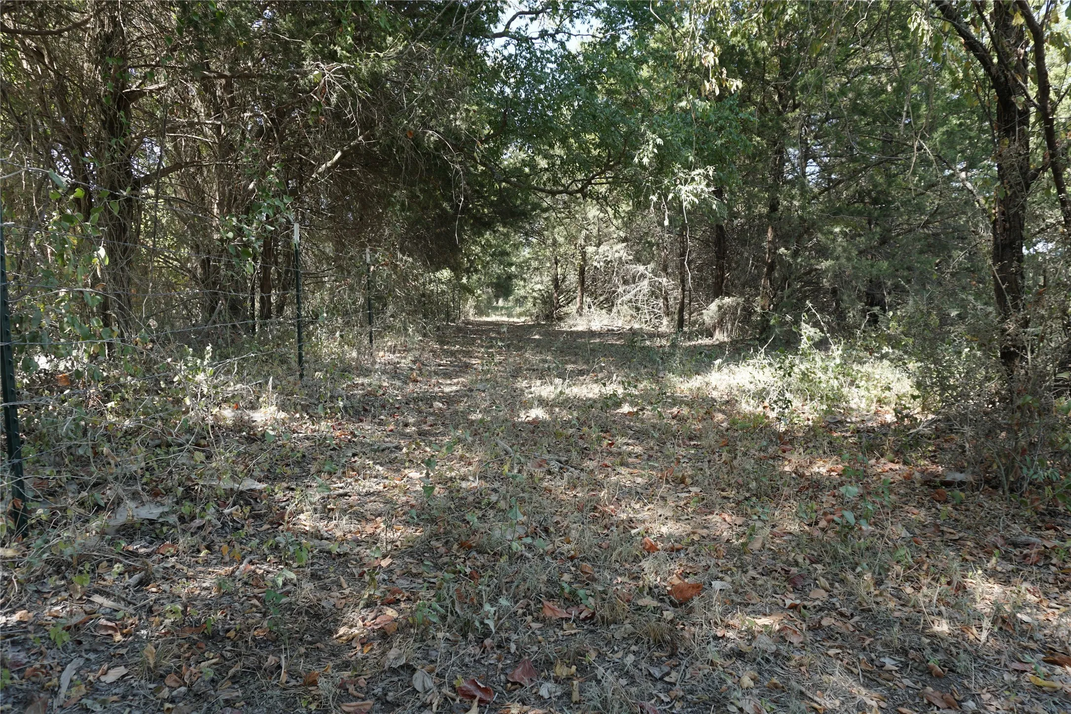 Unimproved Land For Sale in Navarro County , Tract 2 NE County Road 1030, Rice, Texas 75155, 0, 0, Garage spaces, 0 Sqft, built in 0, mls#21364395, Real Estate Agent in Rice, Homes For Sale in Navarro county, Homes For Sale in Rice, Realtor in Rice Texas, Real Estate Brokerage Independent Realty Texas, Luminita Cordes Realtor