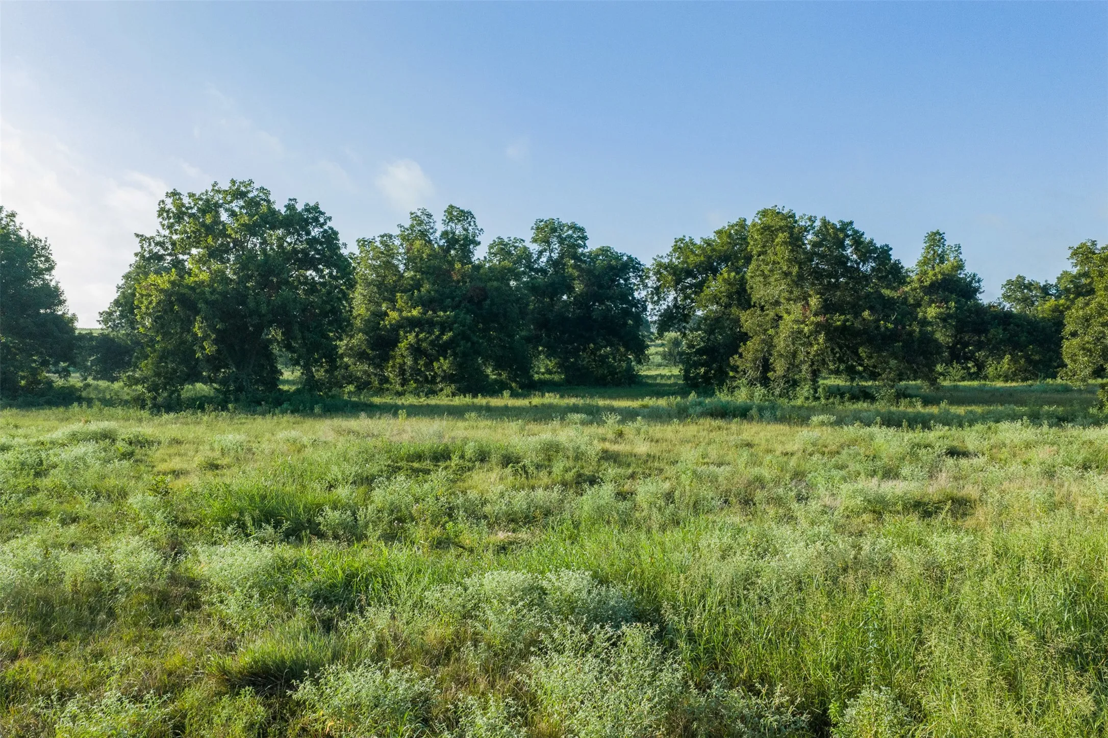 Unimproved Land For Sale in Limestone County , TBD LCR 721, Kosse, Texas 76653, 0, 0, Garage spaces, 0 Sqft, built in 0, mls#21366622, Real Estate Agent in Kosse, Homes For Sale in Limestone county, Homes For Sale in Kosse, Realtor in Kosse Texas, Real Estate Brokerage Independent Realty Texas, Luminita Cordes Realtor