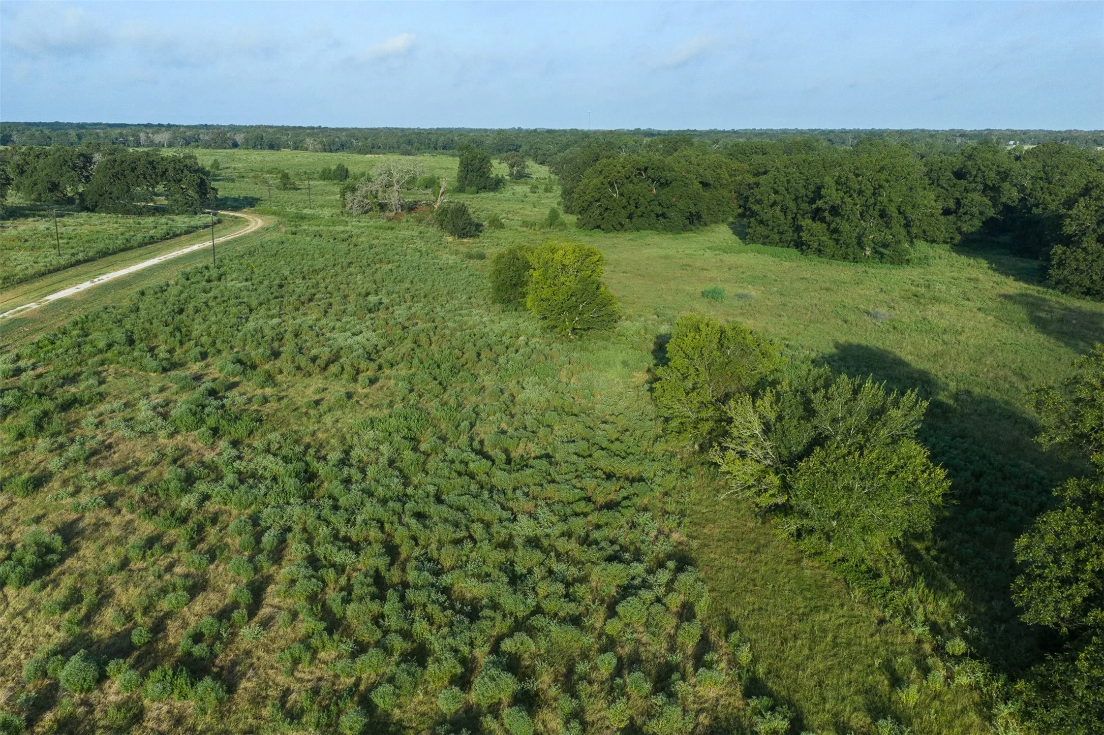 Unimproved Land For Sale in Limestone County , TBD LCR 721, Kosse, Texas 76653, 0, 0, Garage spaces, 0 Sqft, built in 0, mls#21366622, Real Estate Agent in Kosse, Homes For Sale in Limestone county, Homes For Sale in Kosse, Realtor in Kosse Texas, Real Estate Brokerage Independent Realty Texas, Luminita Cordes Realtor