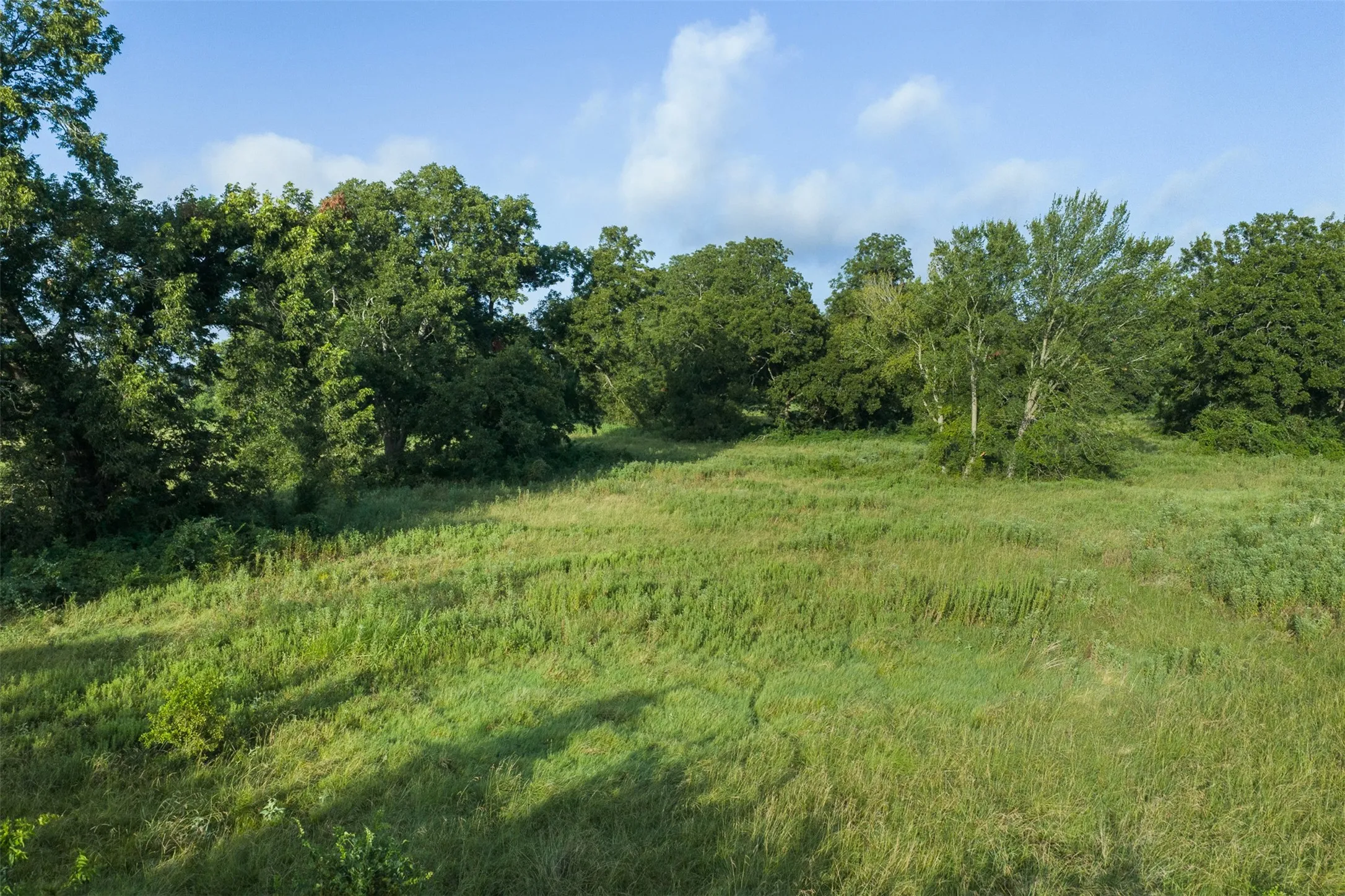 Unimproved Land For Sale in Limestone County , TBD LCR 721, Kosse, Texas 76653, 0, 0, Garage spaces, 0 Sqft, built in 0, mls#21366622, Real Estate Agent in Kosse, Homes For Sale in Limestone county, Homes For Sale in Kosse, Realtor in Kosse Texas, Real Estate Brokerage Independent Realty Texas, Luminita Cordes Realtor