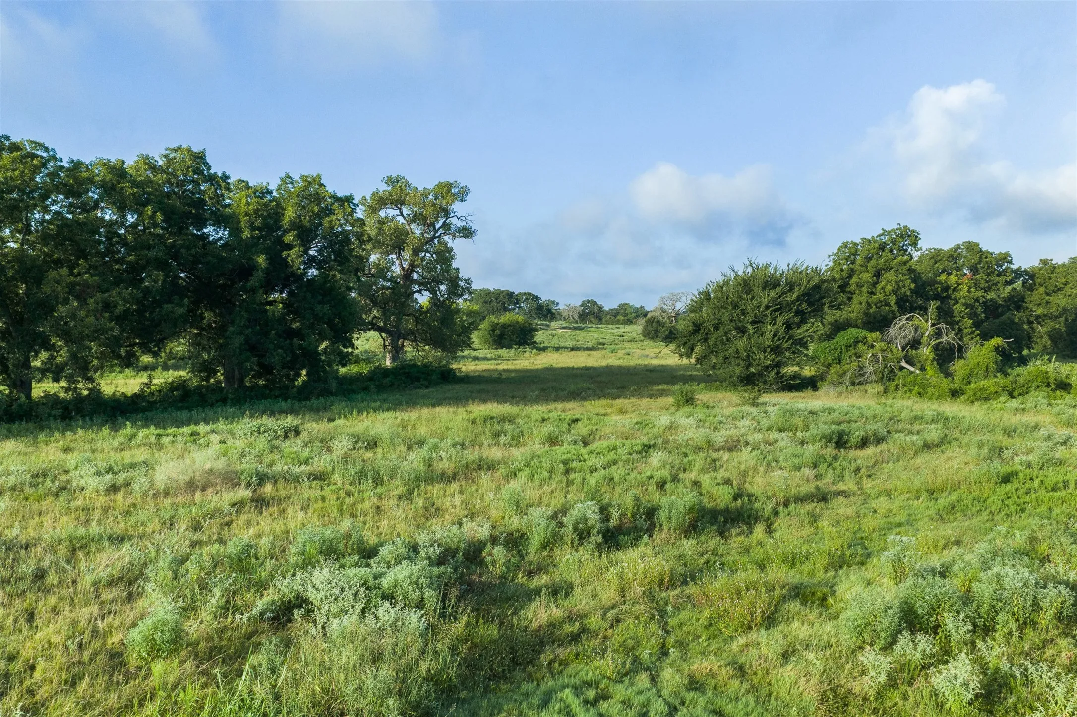 Unimproved Land For Sale in Limestone County , TBD LCR 721, Kosse, Texas 76653, 0, 0, Garage spaces, 0 Sqft, built in 0, mls#21366622, Real Estate Agent in Kosse, Homes For Sale in Limestone county, Homes For Sale in Kosse, Realtor in Kosse Texas, Real Estate Brokerage Independent Realty Texas, Luminita Cordes Realtor