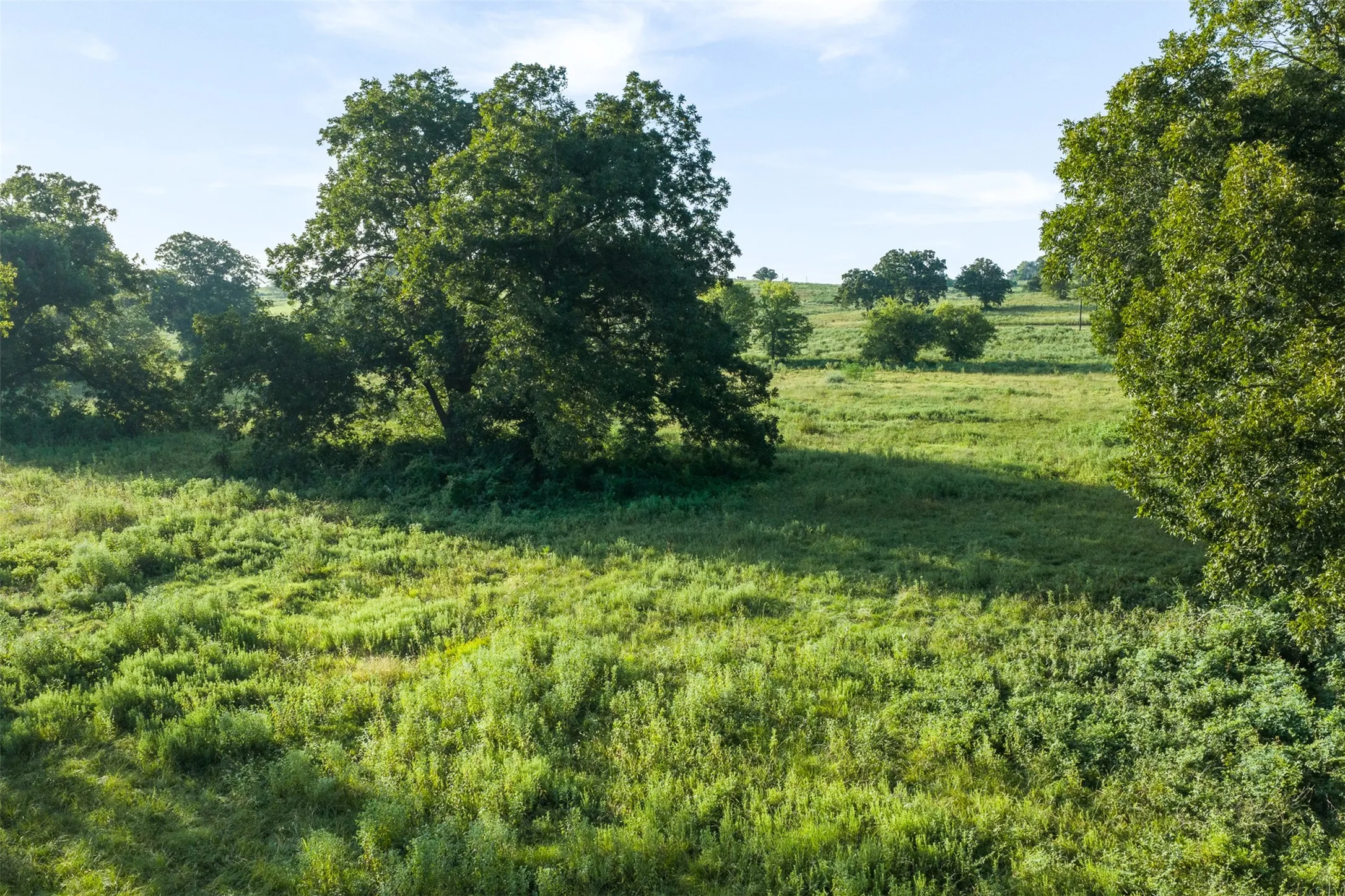 Unimproved Land For Sale in Limestone County , TBD LCR 721, Kosse, Texas 76653, 0, 0, Garage spaces, 0 Sqft, built in 0, mls#21366622, Real Estate Agent in Kosse, Homes For Sale in Limestone county, Homes For Sale in Kosse, Realtor in Kosse Texas, Real Estate Brokerage Independent Realty Texas, Luminita Cordes Realtor