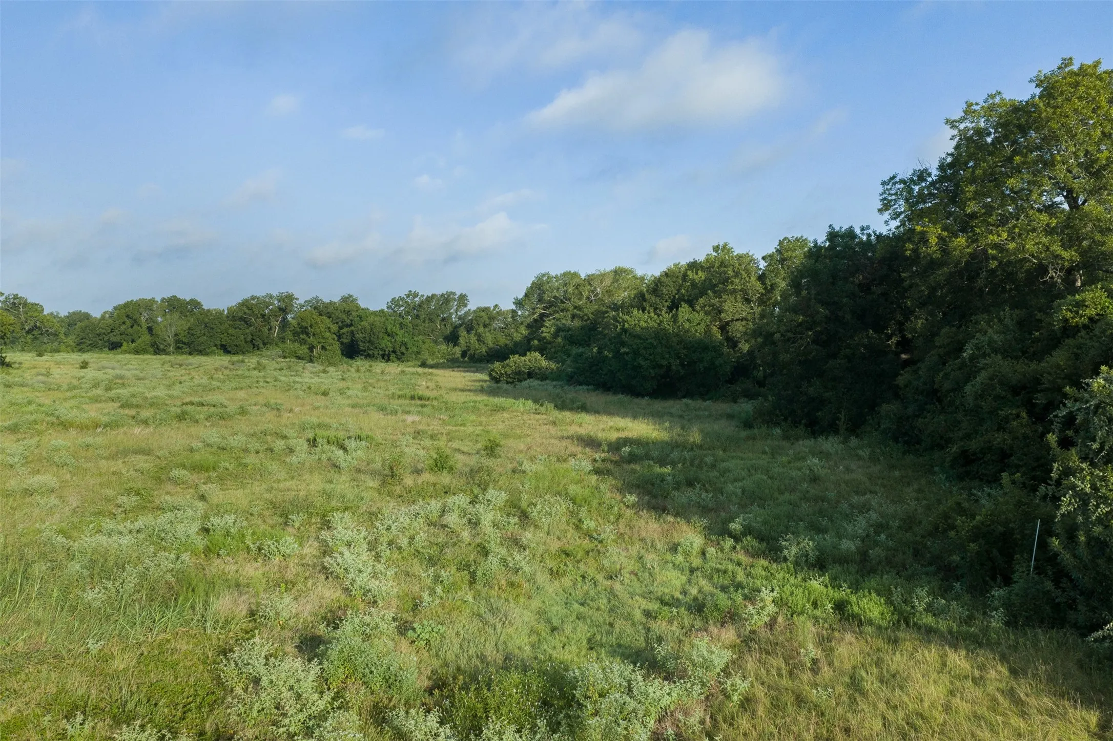 Unimproved Land For Sale in Limestone County , TBD LCR 721, Kosse, Texas 76653, 0, 0, Garage spaces, 0 Sqft, built in 0, mls#21366622, Real Estate Agent in Kosse, Homes For Sale in Limestone county, Homes For Sale in Kosse, Realtor in Kosse Texas, Real Estate Brokerage Independent Realty Texas, Luminita Cordes Realtor