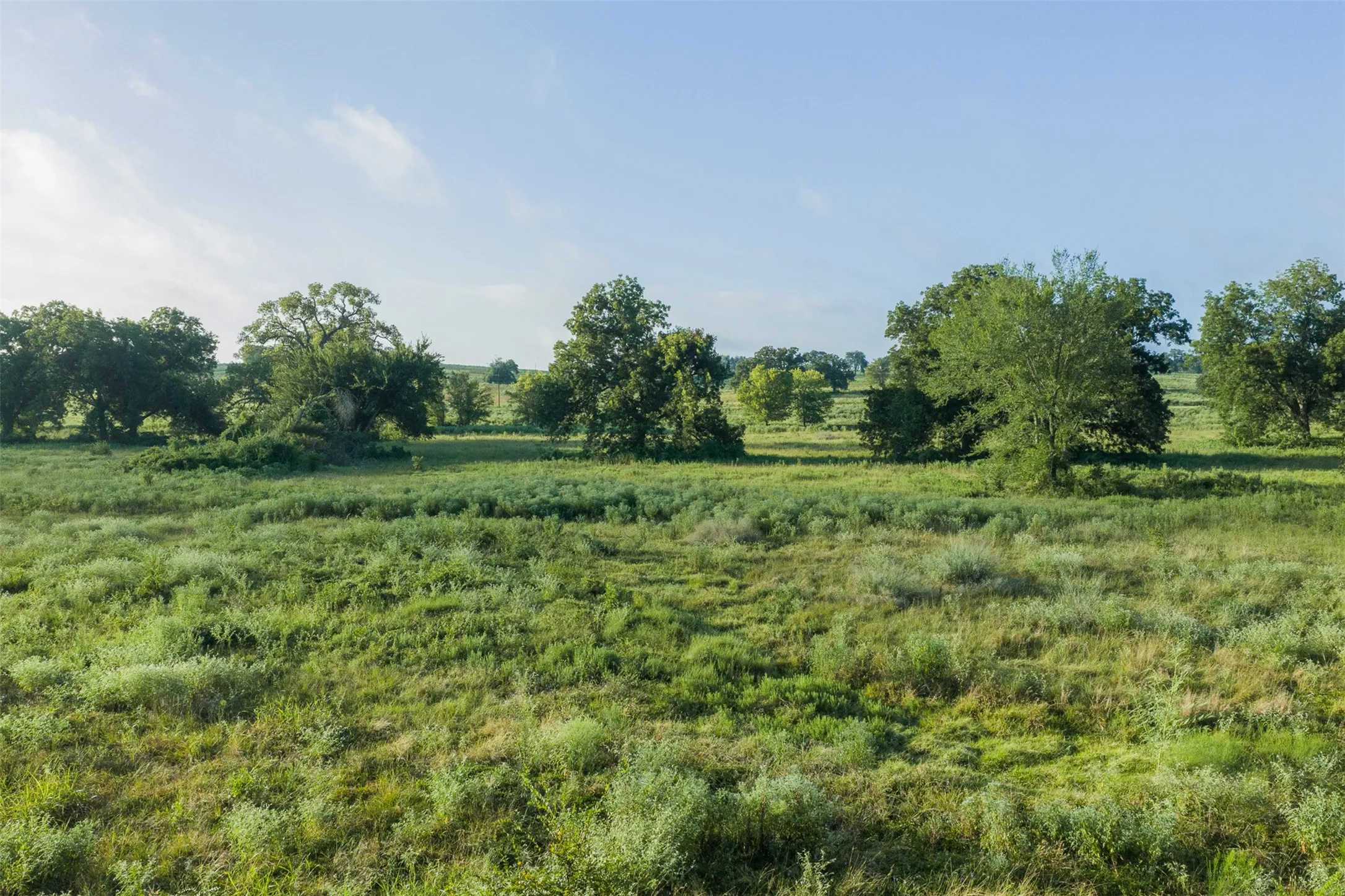 Unimproved Land For Sale in Limestone County , TBD LCR 721, Kosse, Texas 76653, 0, 0, Garage spaces, 0 Sqft, built in 0, mls#21366622, Real Estate Agent in Kosse, Homes For Sale in Limestone county, Homes For Sale in Kosse, Realtor in Kosse Texas, Real Estate Brokerage Independent Realty Texas, Luminita Cordes Realtor