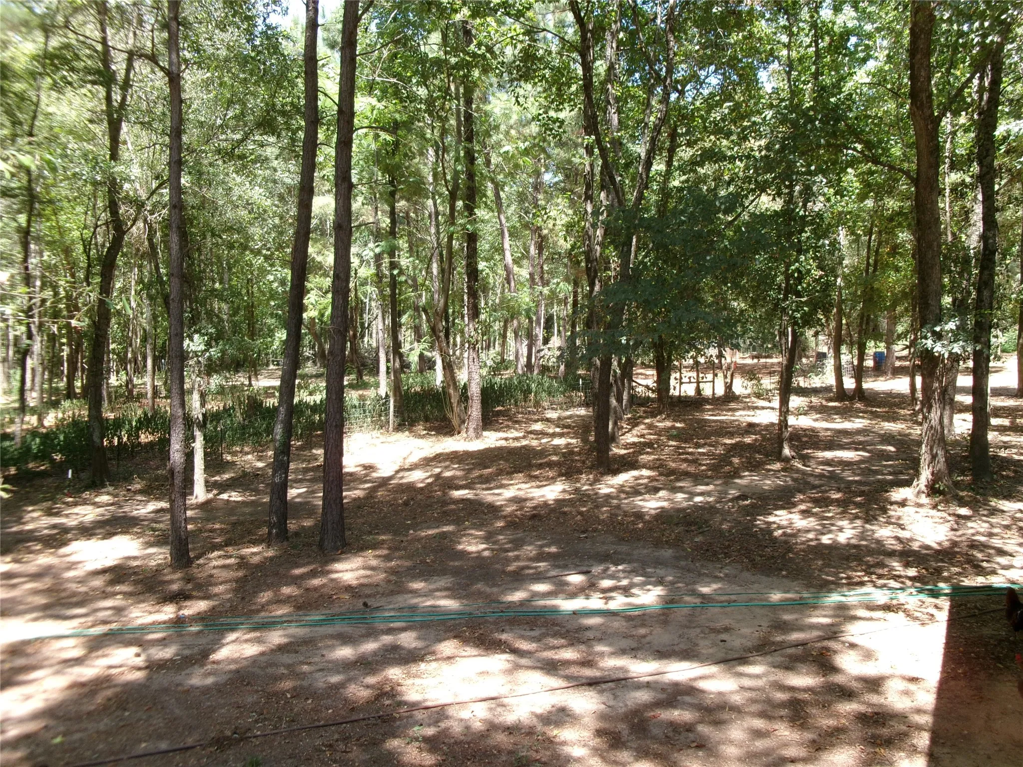 Mobile Home For Sale in Bowie County , 6777 Fm 992 N, De Kalb, Texas 75559, 3 Bedroom, 2 Bathroom, Garage spaces, 1,232 Sqft, built in 2022, mls#21362060, Real Estate Agent in De Kalb, Homes For Sale in Bowie county, Homes For Sale in De Kalb, Realtor in De Kalb Texas, Real Estate Brokerage Independent Realty Texas, Luminita Cordes Realtor