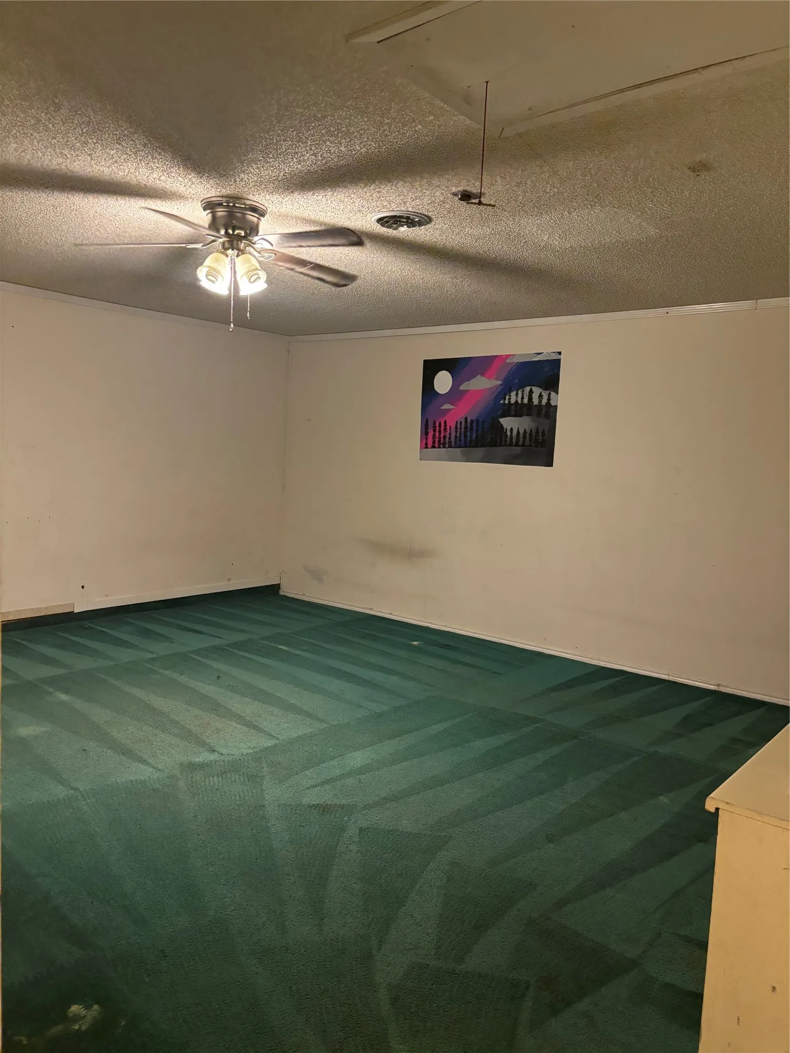 Single Family Residence For Sale in Taylor County , 3149 Primrose Drive, Abilene, Texas 79606, 4 Bedroom, 2 Bathroom, Garage spaces, 1,934 Sqft, built in 1976, mls#21366643, Real Estate Agent in Abilene, Homes For Sale in Taylor county, Homes For Sale in Abilene, Realtor in Abilene Texas, Real Estate Brokerage Independent Realty Texas, Luminita Cordes Realtor
