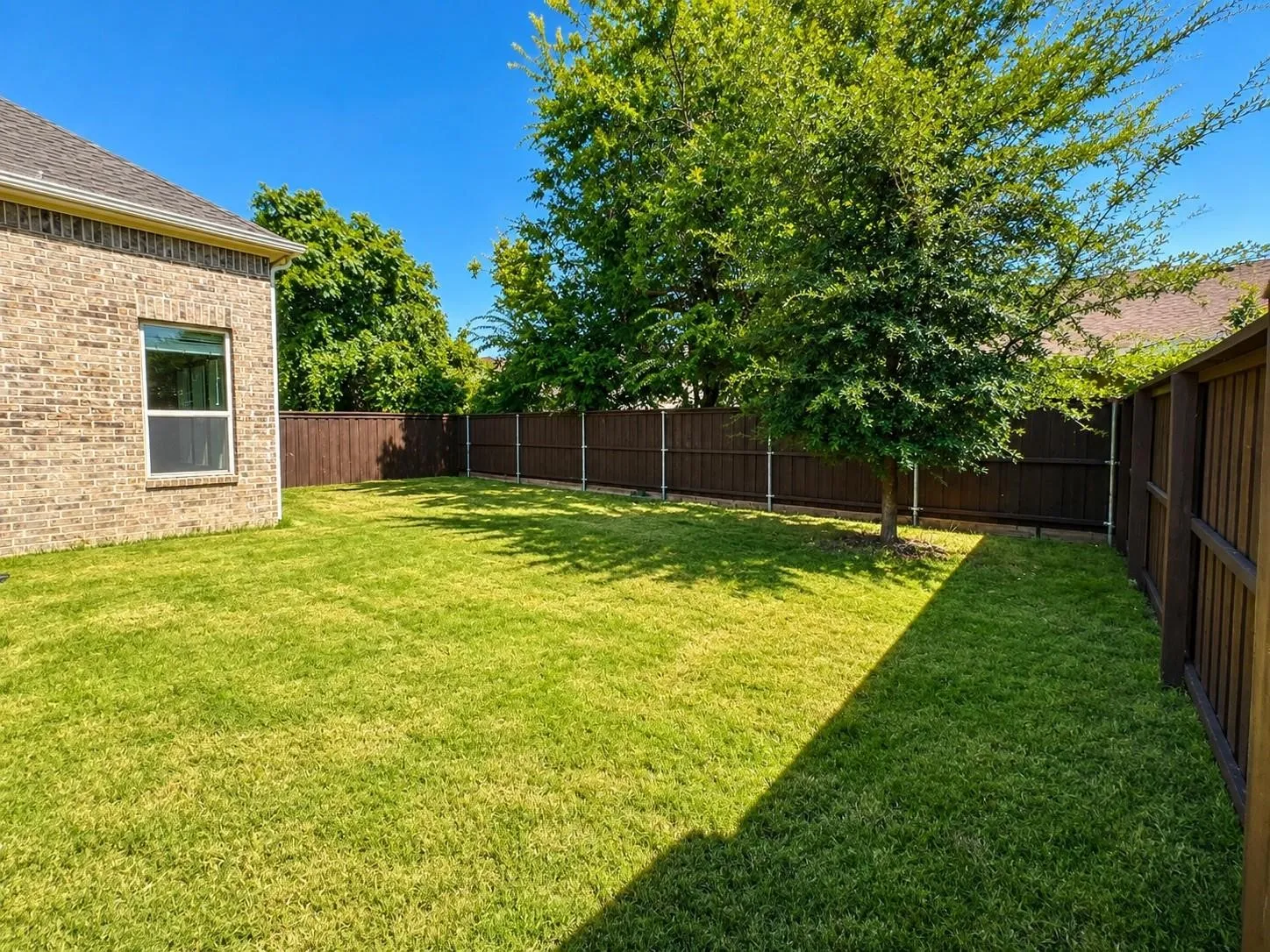 Expansive backyard featuring a manicured lawn, established tree, and privacy fencing