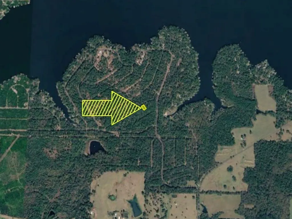 Unimproved Land For Sale in Franklin (TX) County , 0 Brazos Street, Scroggins, Texas 75480, 0, 0, Garage spaces, 0 Sqft, built in 0, mls#21366716, Real Estate Agent in Scroggins, Homes For Sale in Franklin (TX) county, Homes For Sale in Scroggins, Realtor in Scroggins Texas, Real Estate Brokerage Independent Realty Texas, Luminita Cordes Realtor
