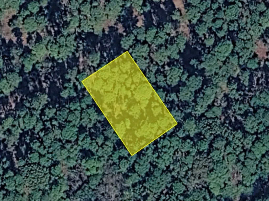 Unimproved Land For Sale in Franklin (TX) County , 0 Brazos Street, Scroggins, Texas 75480, 0, 0, Garage spaces, 0 Sqft, built in 0, mls#21366716, Real Estate Agent in Scroggins, Homes For Sale in Franklin (TX) county, Homes For Sale in Scroggins, Realtor in Scroggins Texas, Real Estate Brokerage Independent Realty Texas, Luminita Cordes Realtor