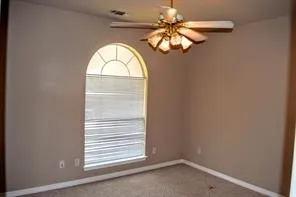 Arched window with blinds, ceiling fan with light fixture, and neutral carpet flooring