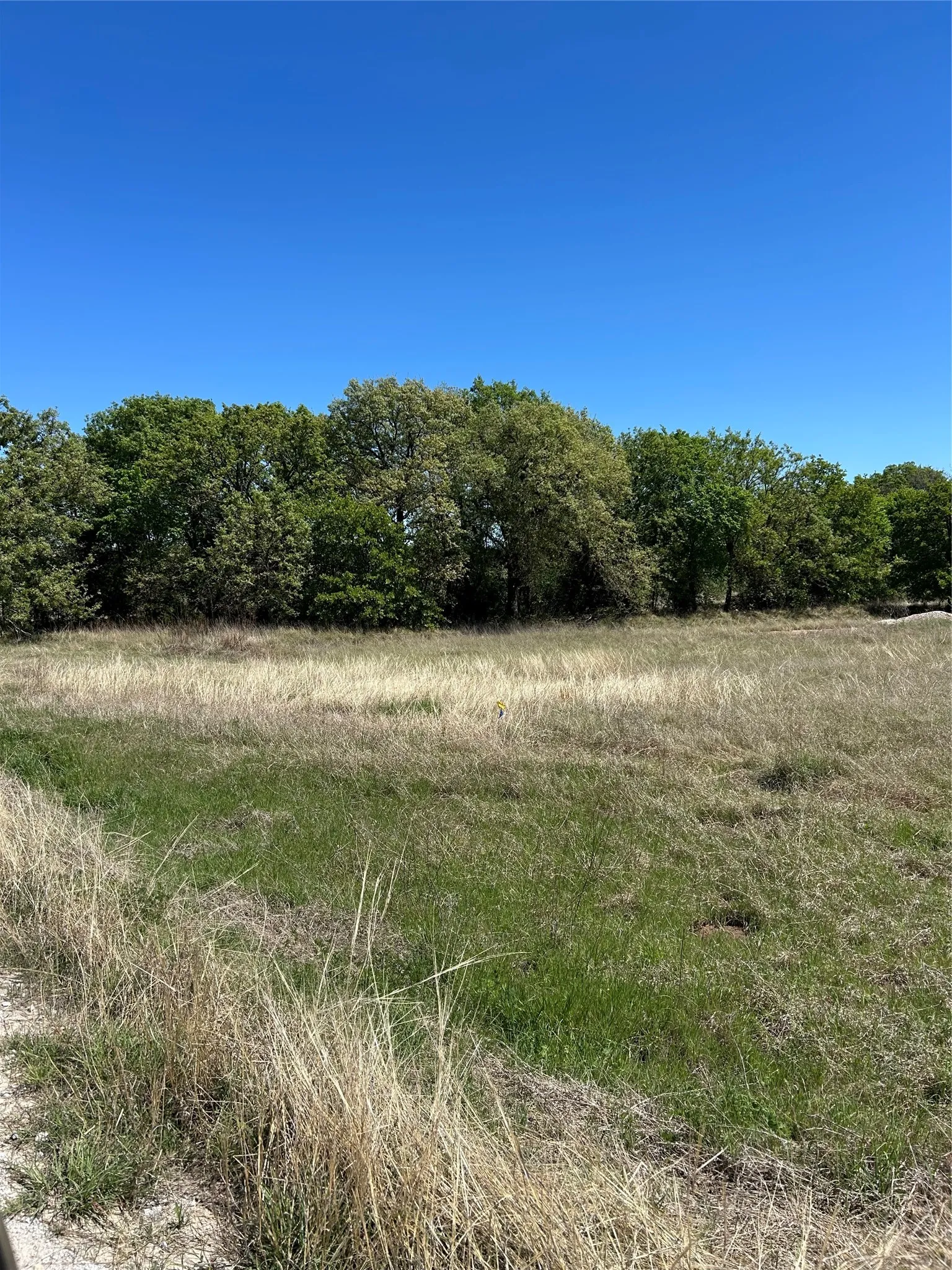 Land before construction was started.