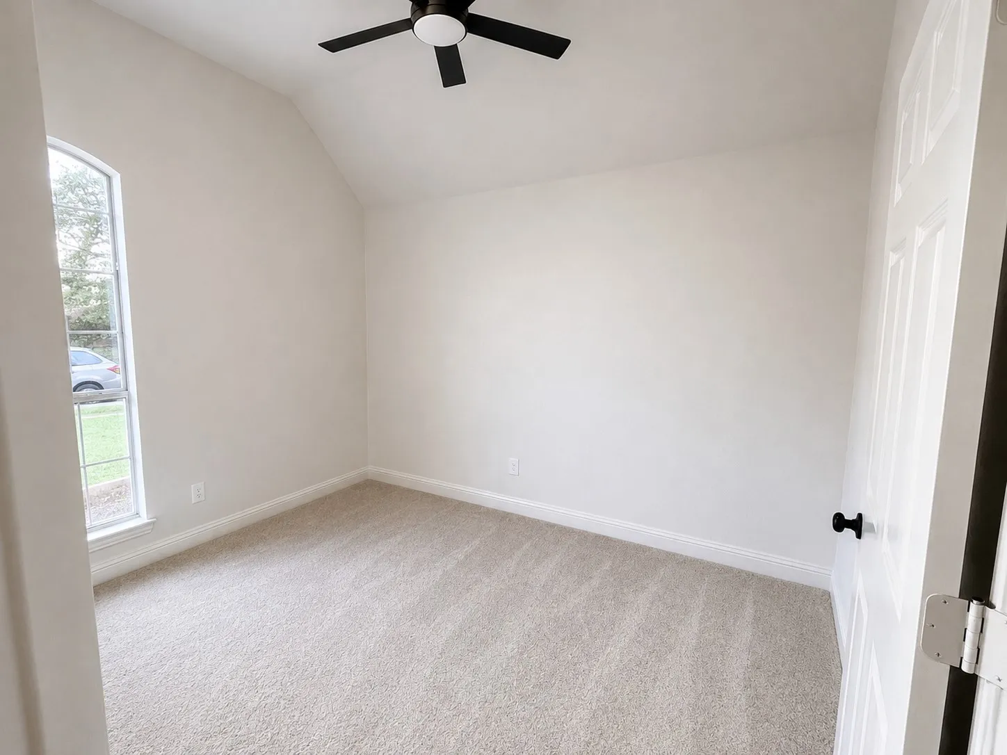 New carpet, high ceilings, new fan and light, new window glass, large room
