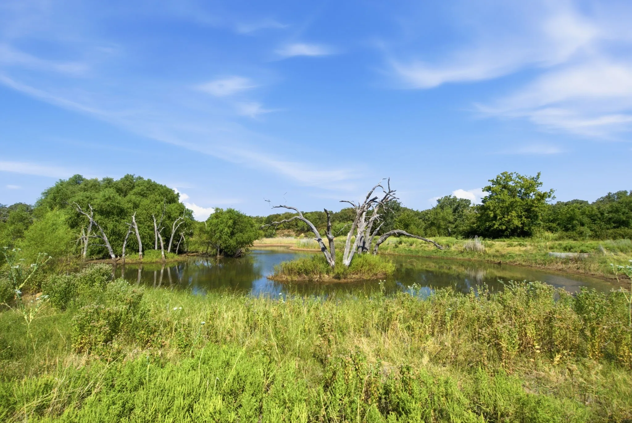 Ranch For Sale in Young County , 1140 Garvey Ranch Road, Graham, Texas 76450, 0, 0, Garage spaces, 0 Sqft, built in 2018, mls#21366835, Real Estate Agent in Graham, Homes For Sale in Young county, Homes For Sale in Graham, Realtor in Graham Texas, Real Estate Brokerage Independent Realty Texas, Luminita Cordes Realtor