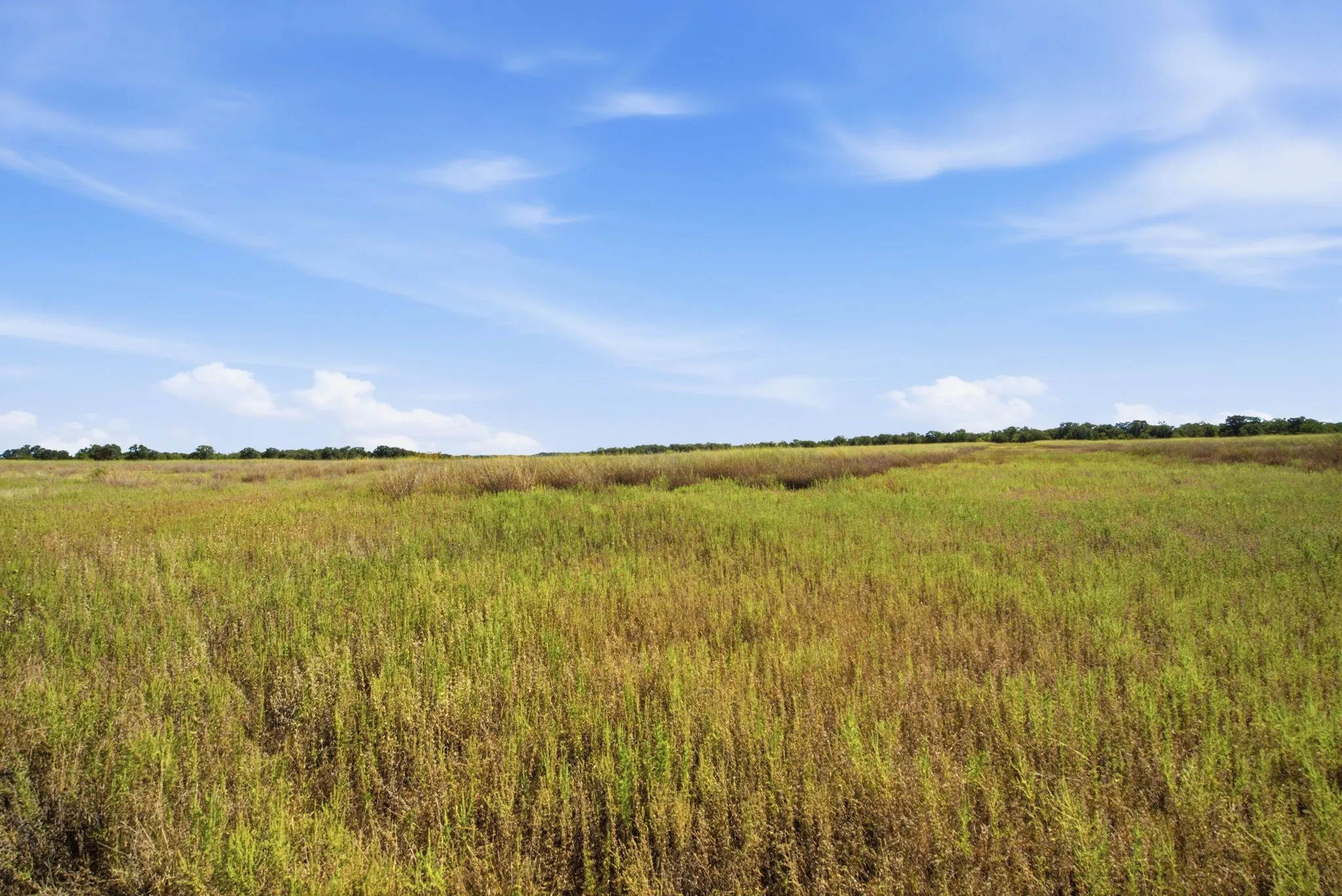 Ranch For Sale in Young County , 1140 Garvey Ranch Road, Graham, Texas 76450, 0, 0, Garage spaces, 0 Sqft, built in 2018, mls#21366835, Real Estate Agent in Graham, Homes For Sale in Young county, Homes For Sale in Graham, Realtor in Graham Texas, Real Estate Brokerage Independent Realty Texas, Luminita Cordes Realtor