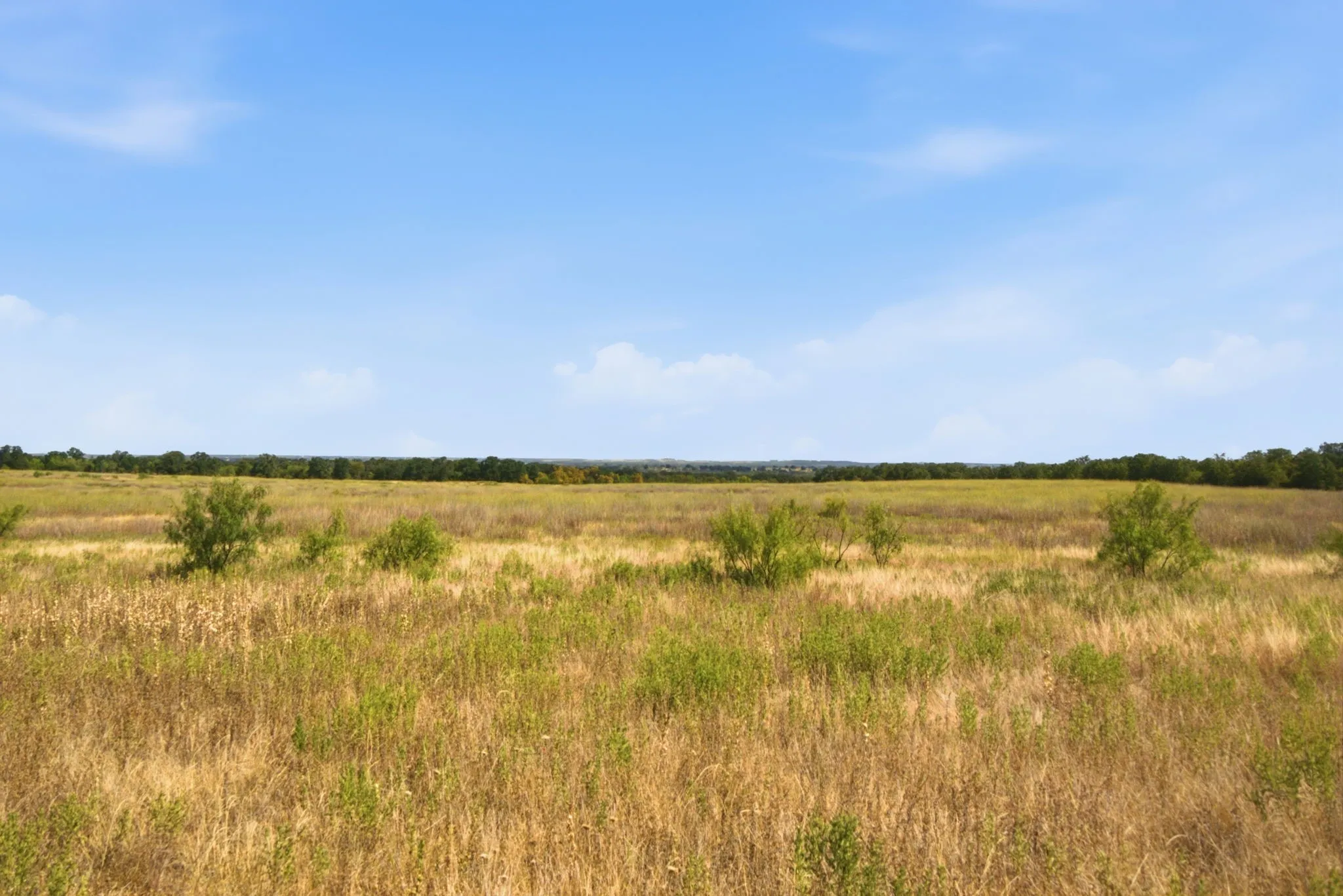 Ranch For Sale in Young County , 1140 Garvey Ranch Road, Graham, Texas 76450, 0, 0, Garage spaces, 0 Sqft, built in 2018, mls#21366835, Real Estate Agent in Graham, Homes For Sale in Young county, Homes For Sale in Graham, Realtor in Graham Texas, Real Estate Brokerage Independent Realty Texas, Luminita Cordes Realtor