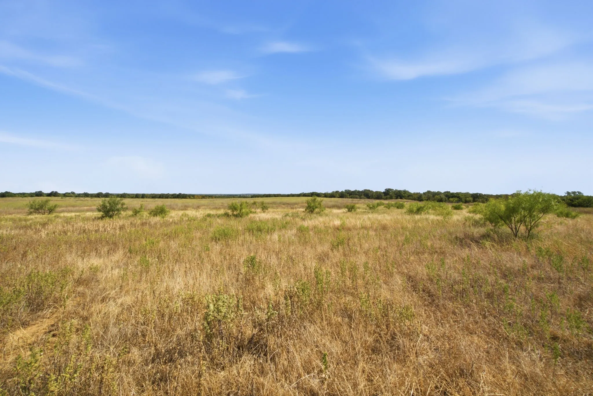 Ranch For Sale in Young County , 1140 Garvey Ranch Road, Graham, Texas 76450, 0, 0, Garage spaces, 0 Sqft, built in 2018, mls#21366835, Real Estate Agent in Graham, Homes For Sale in Young county, Homes For Sale in Graham, Realtor in Graham Texas, Real Estate Brokerage Independent Realty Texas, Luminita Cordes Realtor
