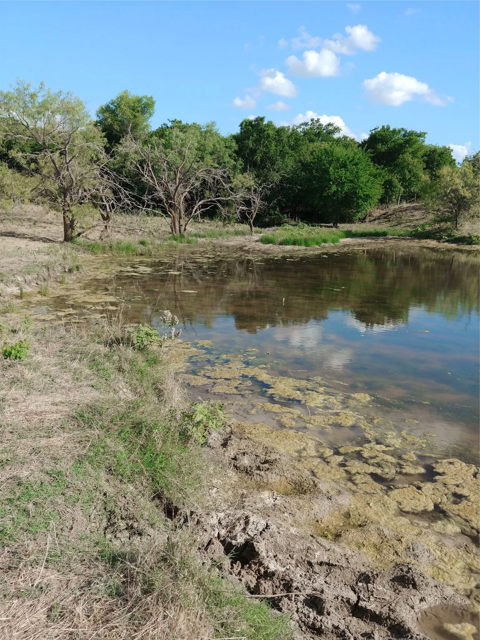 Unimproved Land For Sale in Hill County , Private Road 451 Private Road 451, Grandview, Texas 76050, 0, 0, Garage spaces, 0 Sqft, built in 0, mls#21366562, Real Estate Agent in Grandview, Homes For Sale in Hill county, Homes For Sale in Grandview, Realtor in Grandview Texas, Real Estate Brokerage Independent Realty Texas, Luminita Cordes Realtor