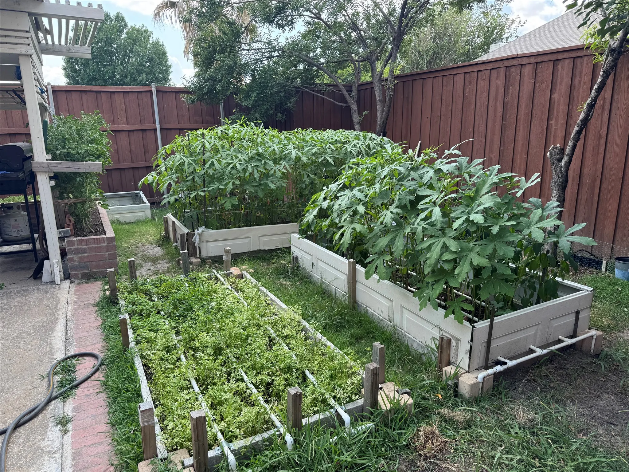 Private yard with raised garden beds, a brick paver pathway, and a wood fence perimeter