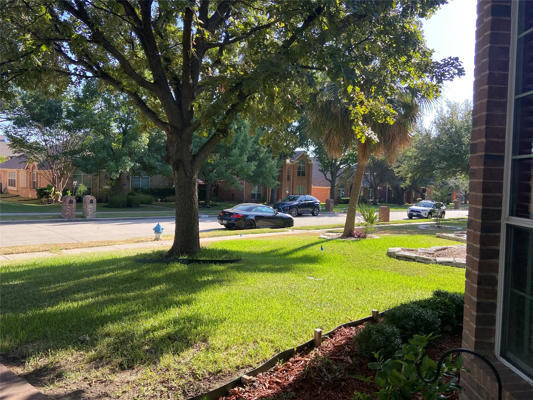 Manicured lawn with mature trees and established landscaping