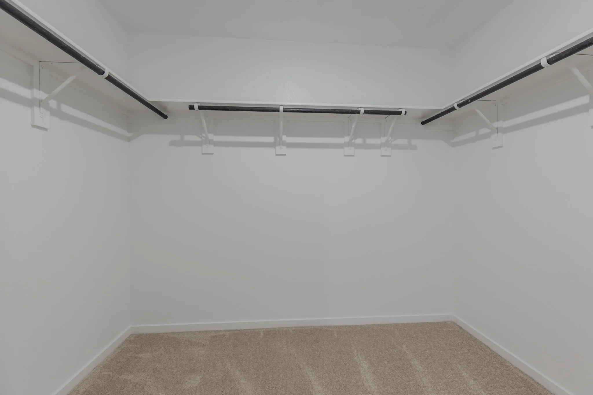 Spacious closet featuring carpet