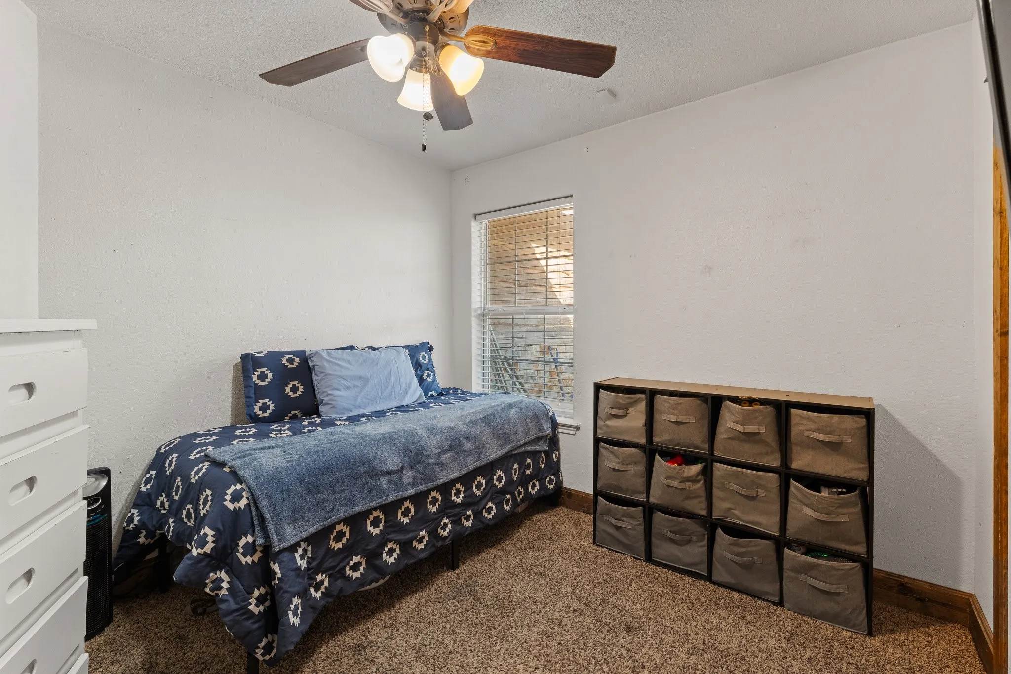 Neutral wall color with textured carpeting, ceiling fan with integrated lighting, and window with blinds