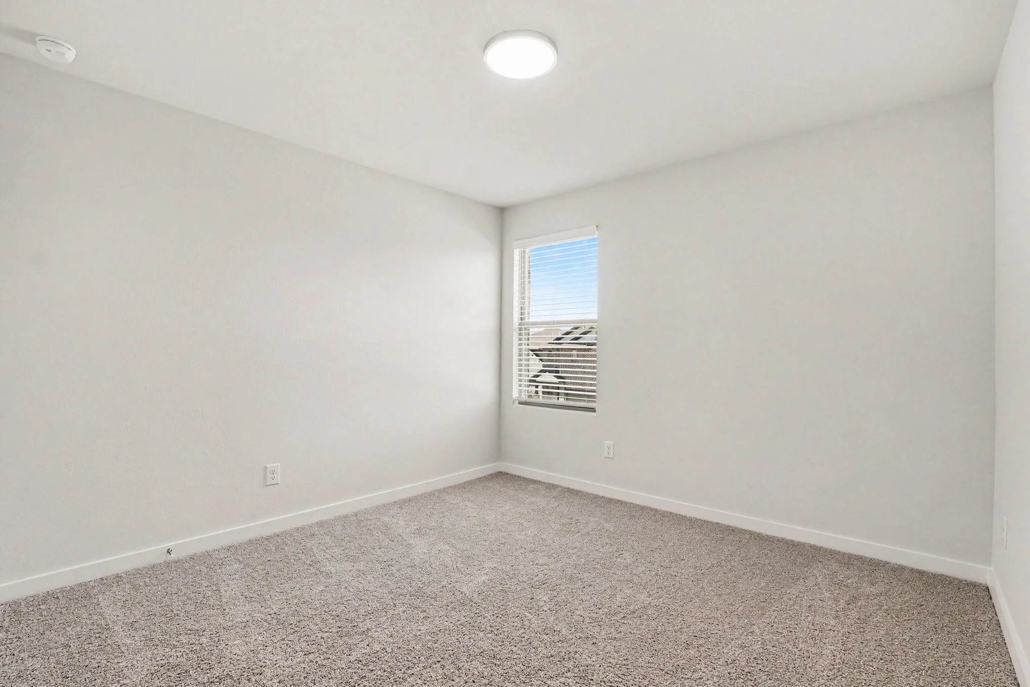 Neutral tone wall finishes, textured carpet flooring, and a single window with blinds