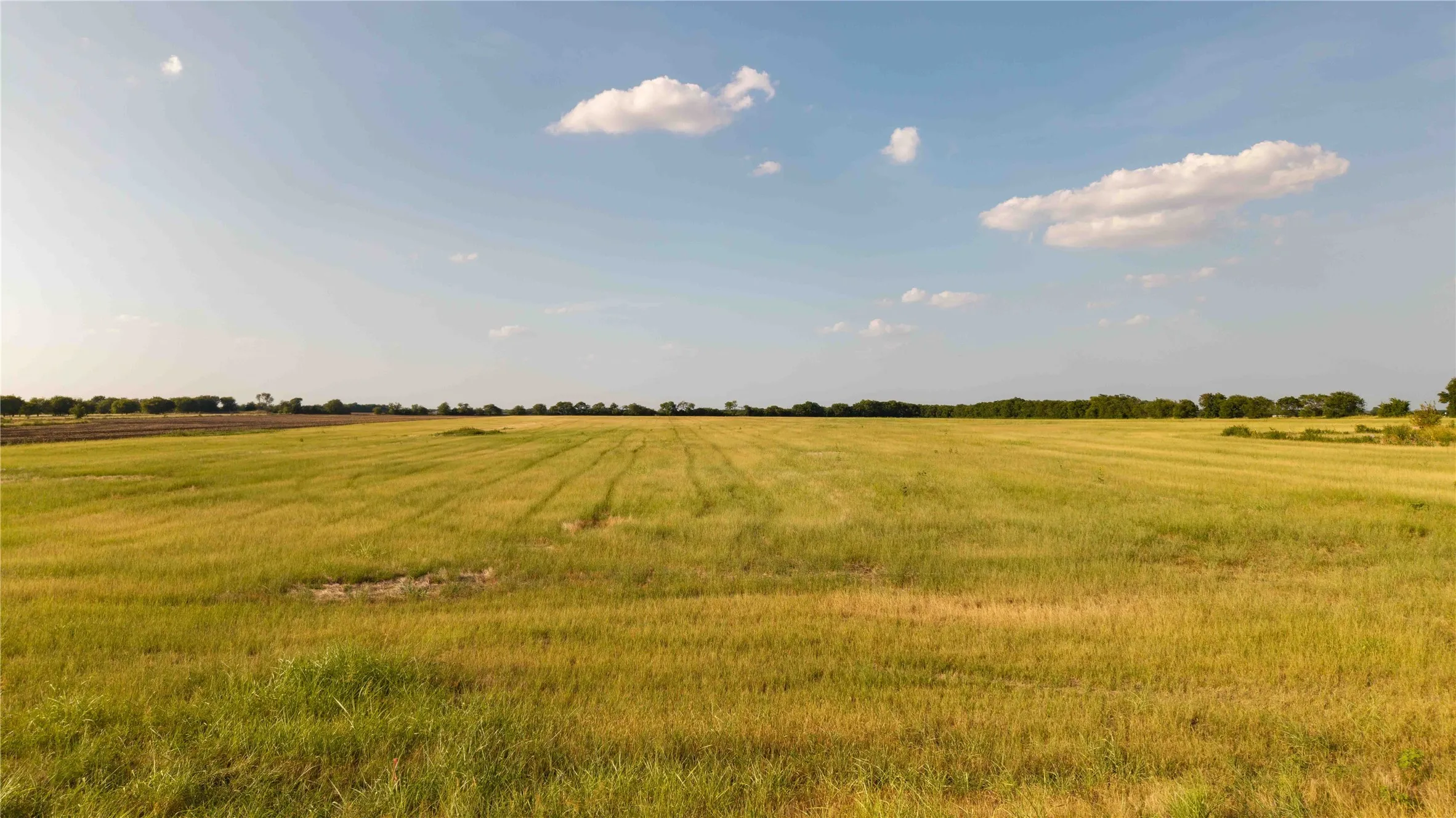 Unimproved Land For Sale in Denton County , TBD Plainview Road, Krum, Texas 76249, 0, 0, Garage spaces, 0 Sqft, built in 0, Price $1,739,960, mls#21357509, Real Estate Agent in Krum, Homes For Sale in Denton county, Homes For Sale in Krum, Realtor in Krum Texas, Real Estate Brokerage Independent Realty Texas, Luminita Cordes Realtor