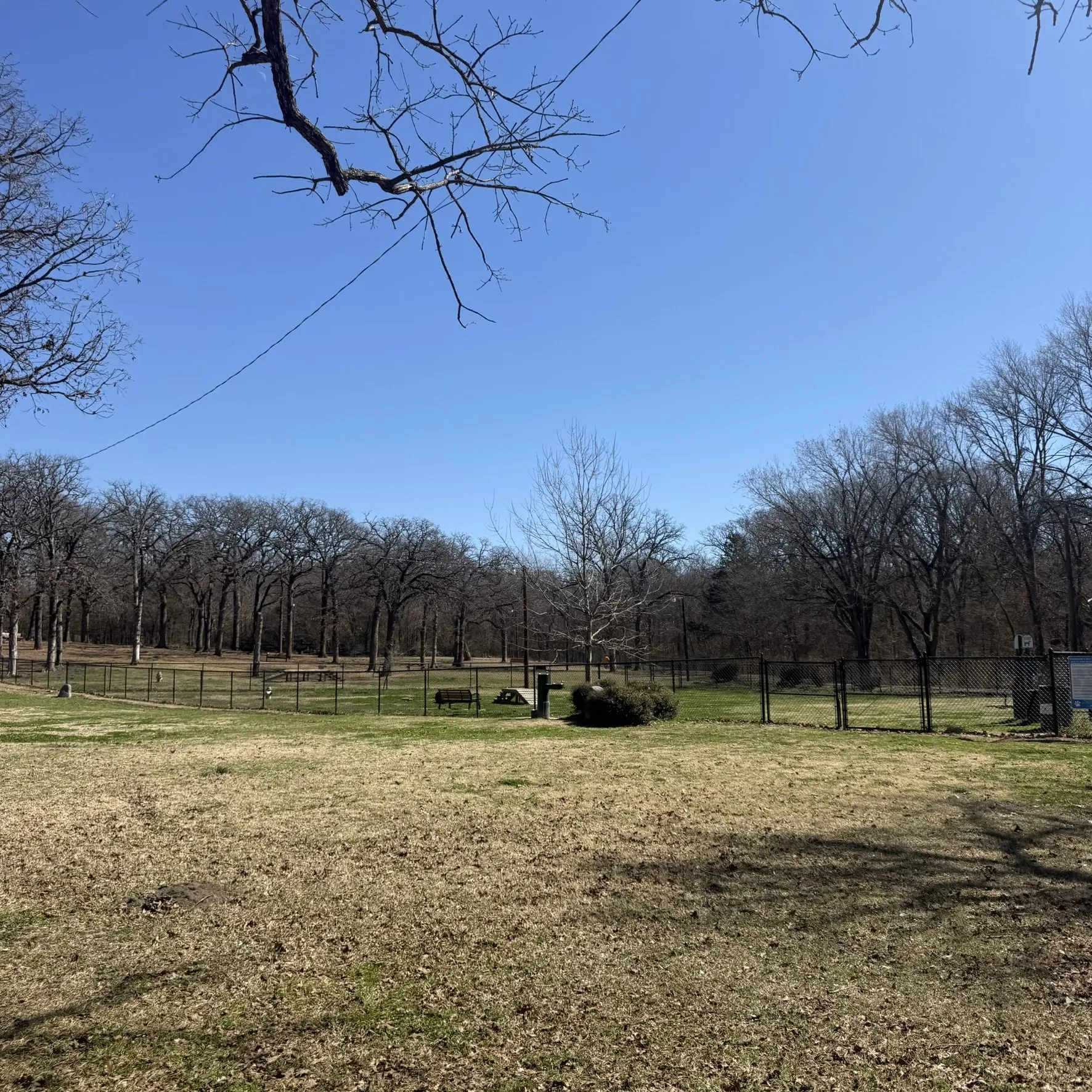 Improved Land For Sale in Grayson County , 2008 S Lang Avenue, Denison, Texas 75020, 0, 0, Garage spaces, 0 Sqft, built in 0, mls#21366913, Real Estate Agent in Denison, Homes For Sale in Grayson county, Homes For Sale in Denison, Realtor in Denison Texas, Real Estate Brokerage Independent Realty Texas, Luminita Cordes Realtor