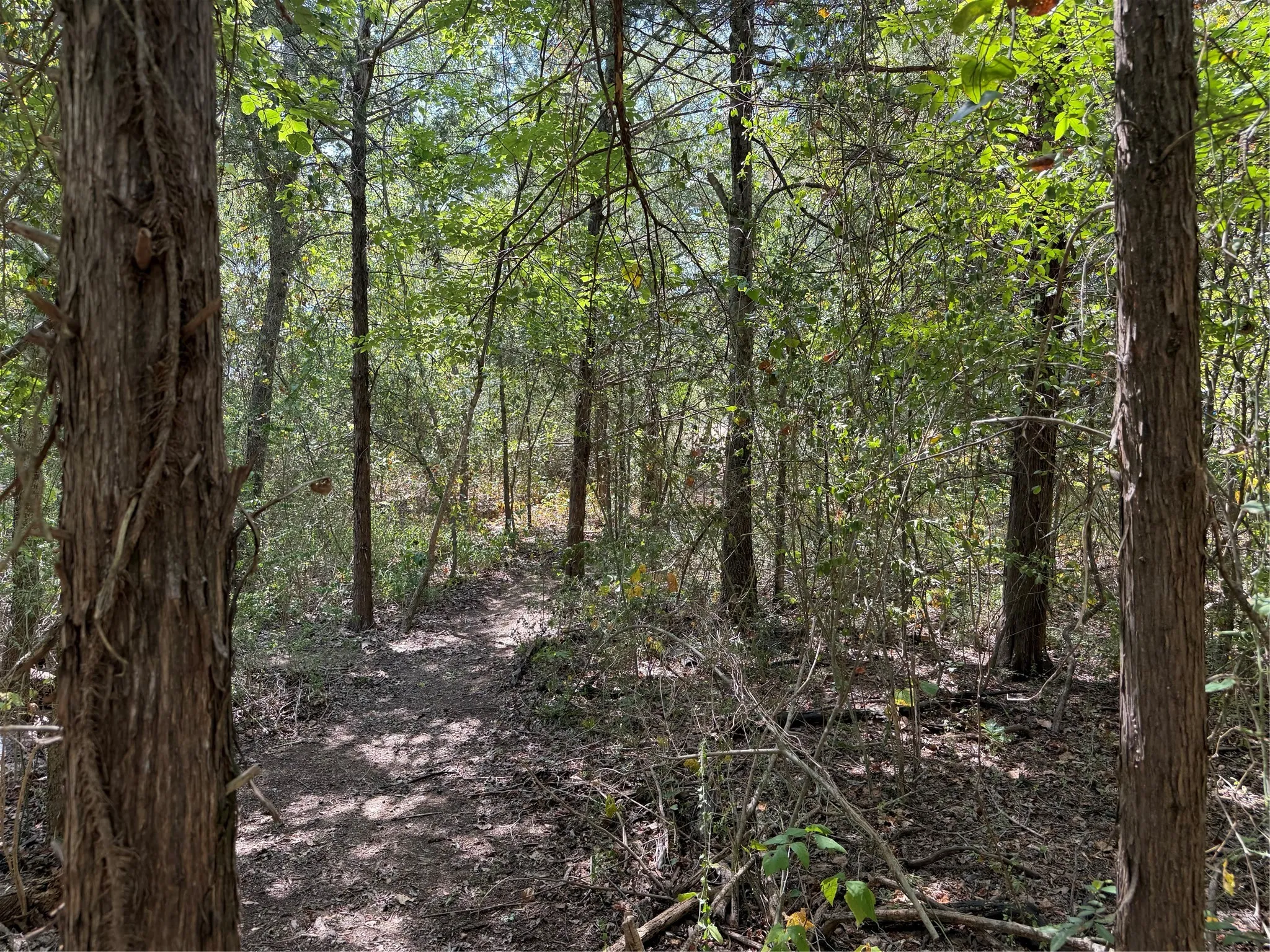 Improved Land For Sale in Grayson County , 2008 S Lang Avenue, Denison, Texas 75020, 0, 0, Garage spaces, 0 Sqft, built in 0, mls#21366913, Real Estate Agent in Denison, Homes For Sale in Grayson county, Homes For Sale in Denison, Realtor in Denison Texas, Real Estate Brokerage Independent Realty Texas, Luminita Cordes Realtor