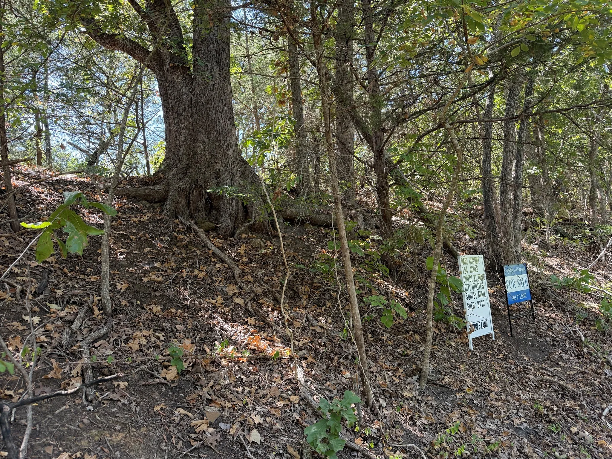Improved Land For Sale in Grayson County , 2008 S Lang Avenue, Denison, Texas 75020, 0, 0, Garage spaces, 0 Sqft, built in 0, mls#21366913, Real Estate Agent in Denison, Homes For Sale in Grayson county, Homes For Sale in Denison, Realtor in Denison Texas, Real Estate Brokerage Independent Realty Texas, Luminita Cordes Realtor